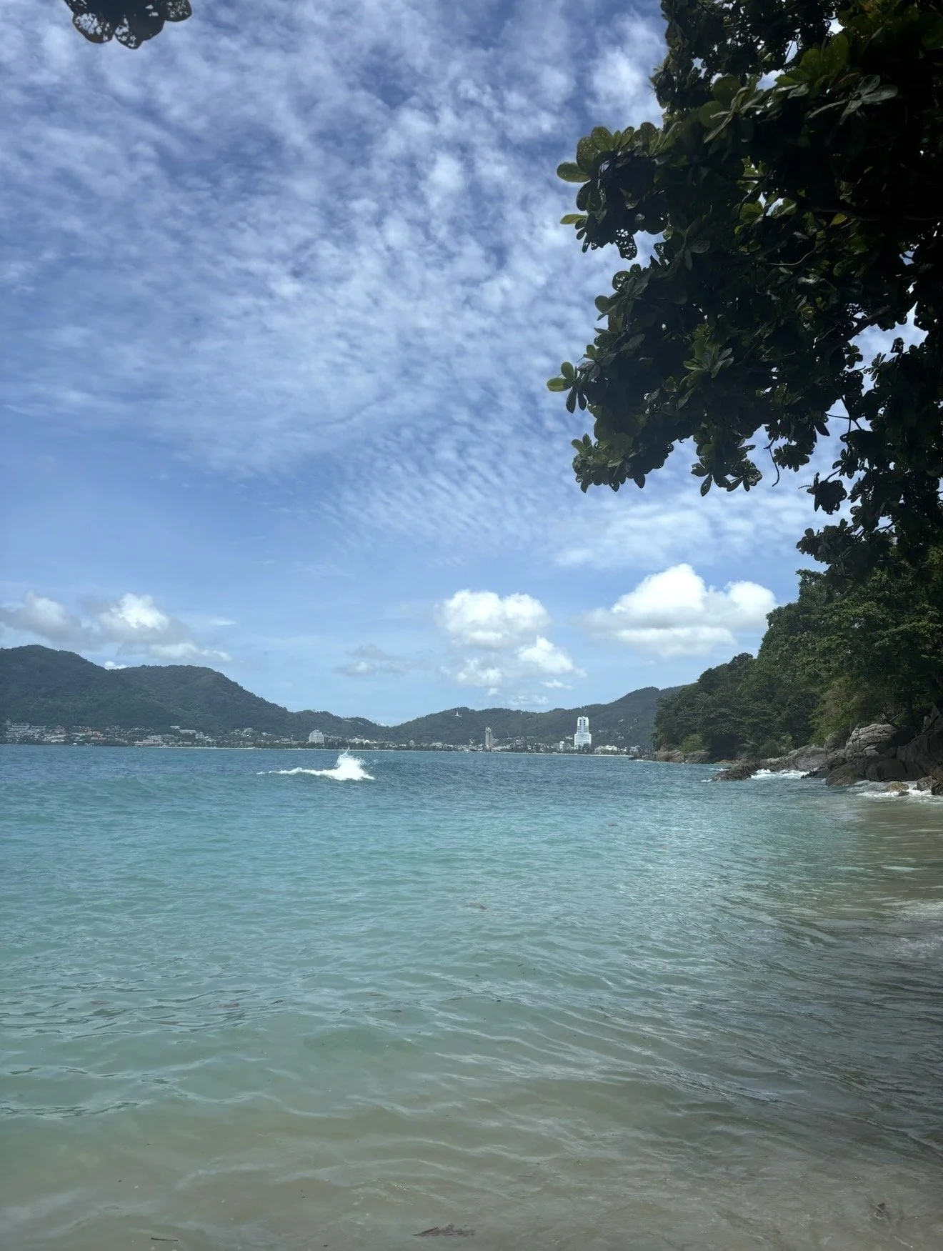 IMG_0329.jpeg