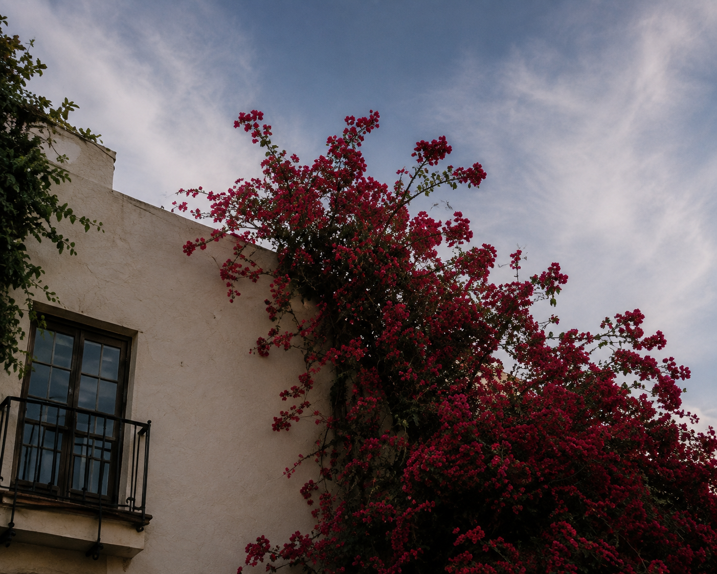 Flowering bougainvillea against a white stucco facade beneath a cloud-filled sky.