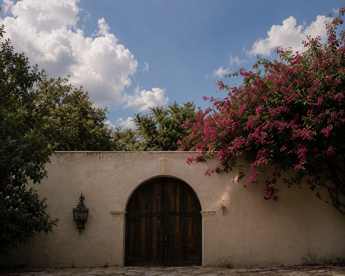 Arched wooden gate in a white stucco wall beneath flowering bougainvillea and blue sky.