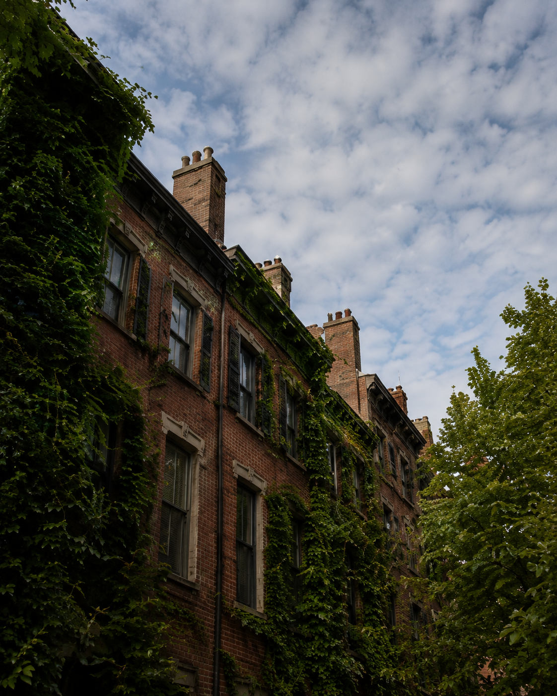 Historic brick townhouses partially covered in ivy and surrounded by leafy trees.