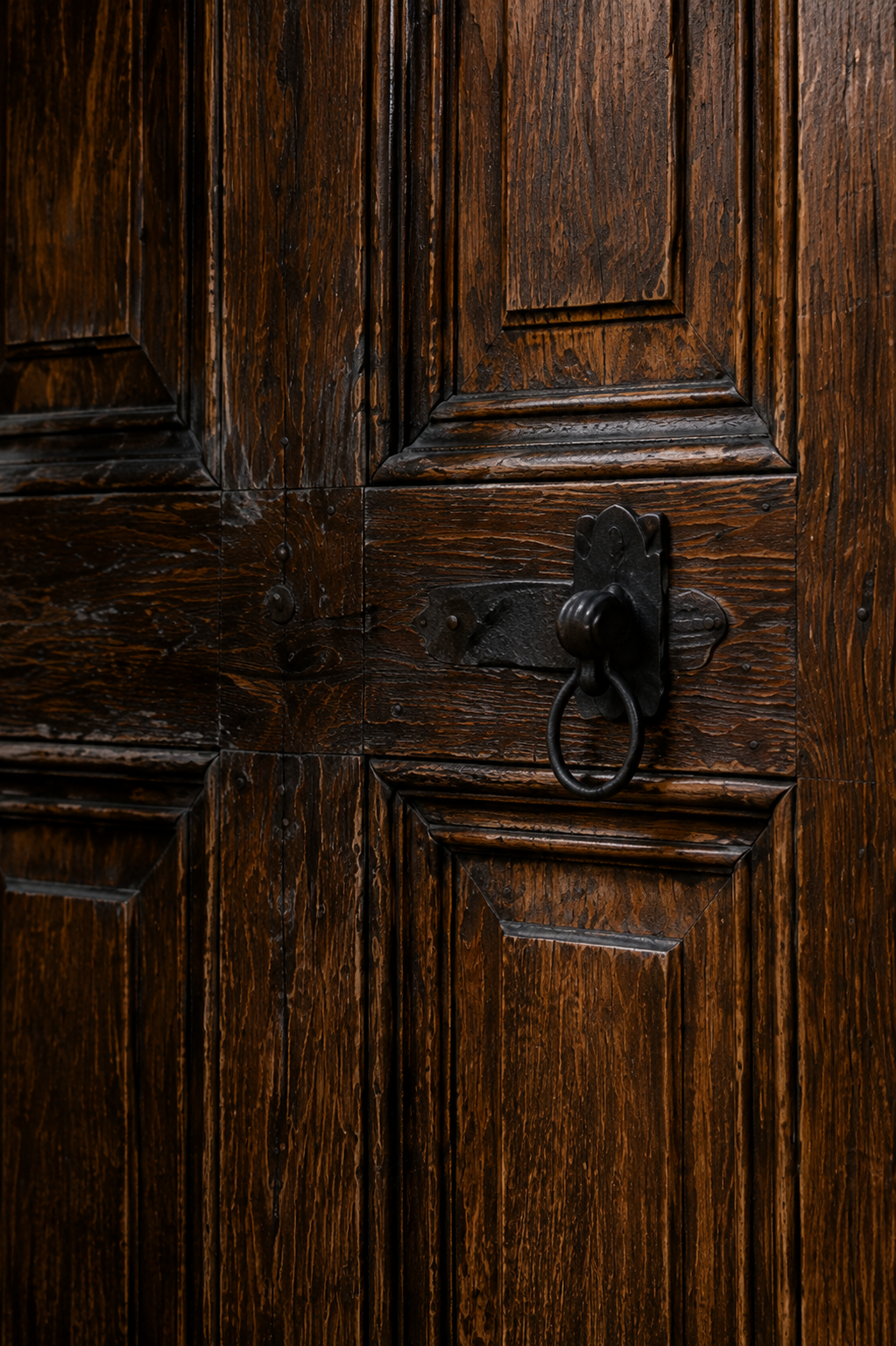 Dark weathered wooden door with a decorative iron ring handle.
