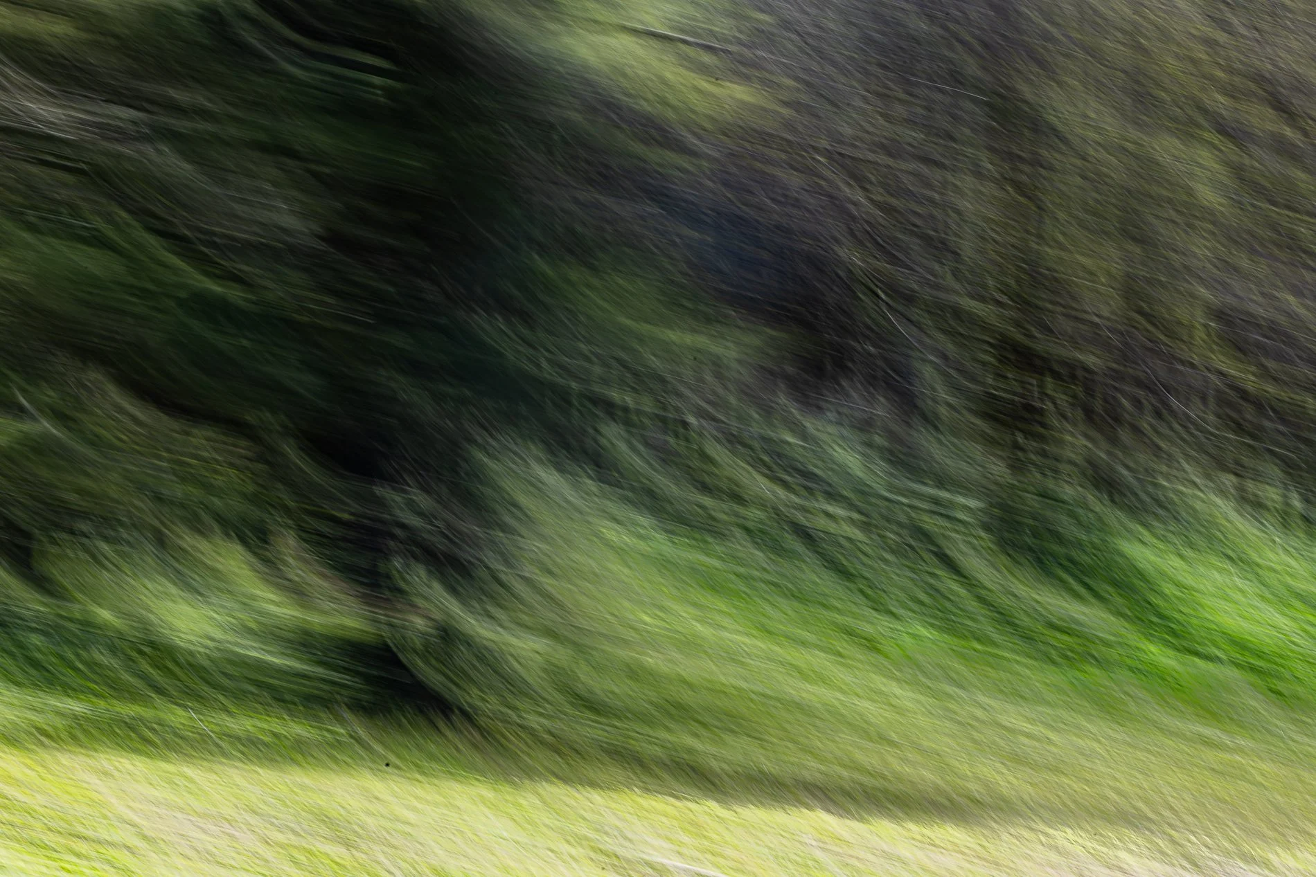 ICM MRasmussen2-5.jpg