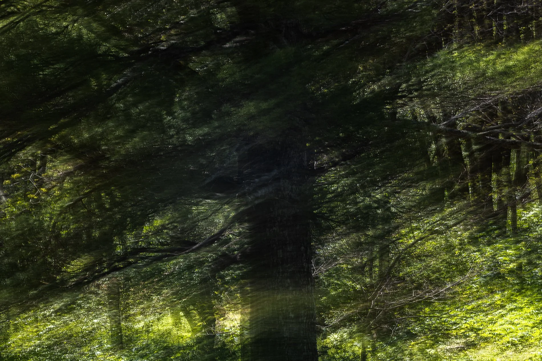 ICM MRasmussen2-6.jpg