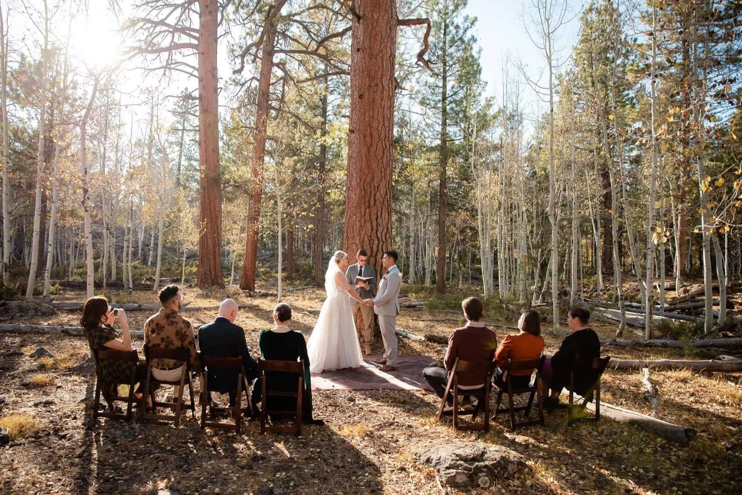 A wedding ceremony taking place outdoors in a forest, with the bride and groom holding hands under a large tree, surrounded by guests seated on chairs.