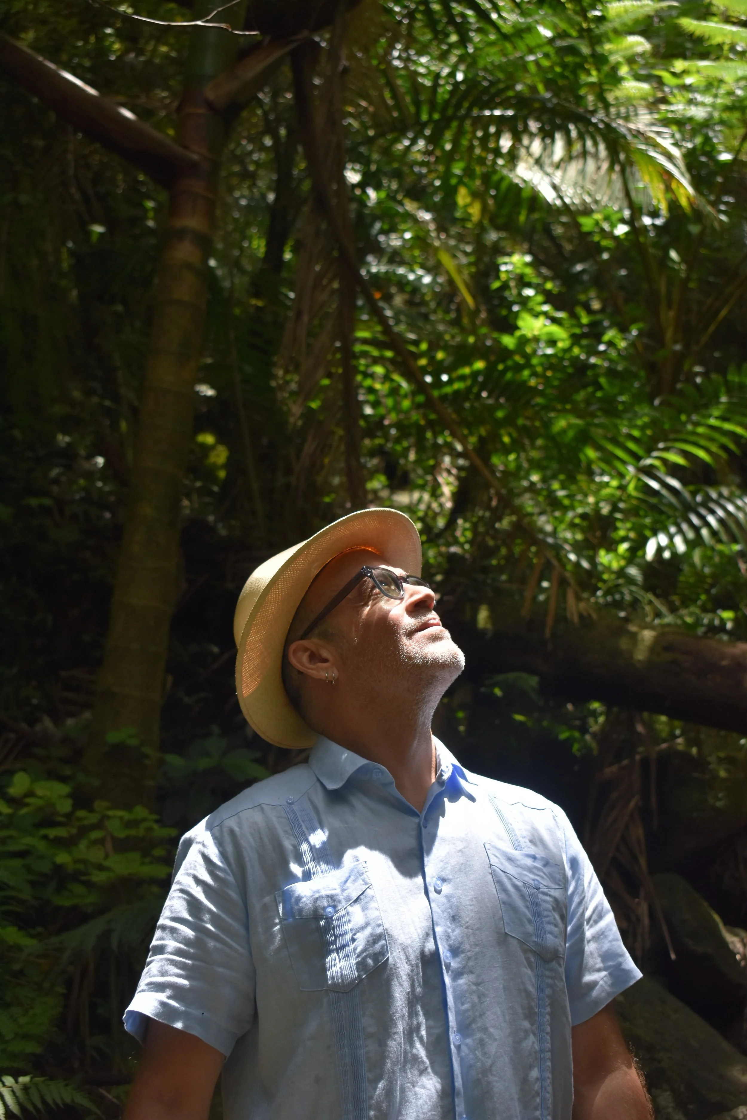 A man wearing glasses and a light blue button-up shirt and a straw hat is standing in a lush, green forest. Sunlight filters through the leafy canopy overhead.