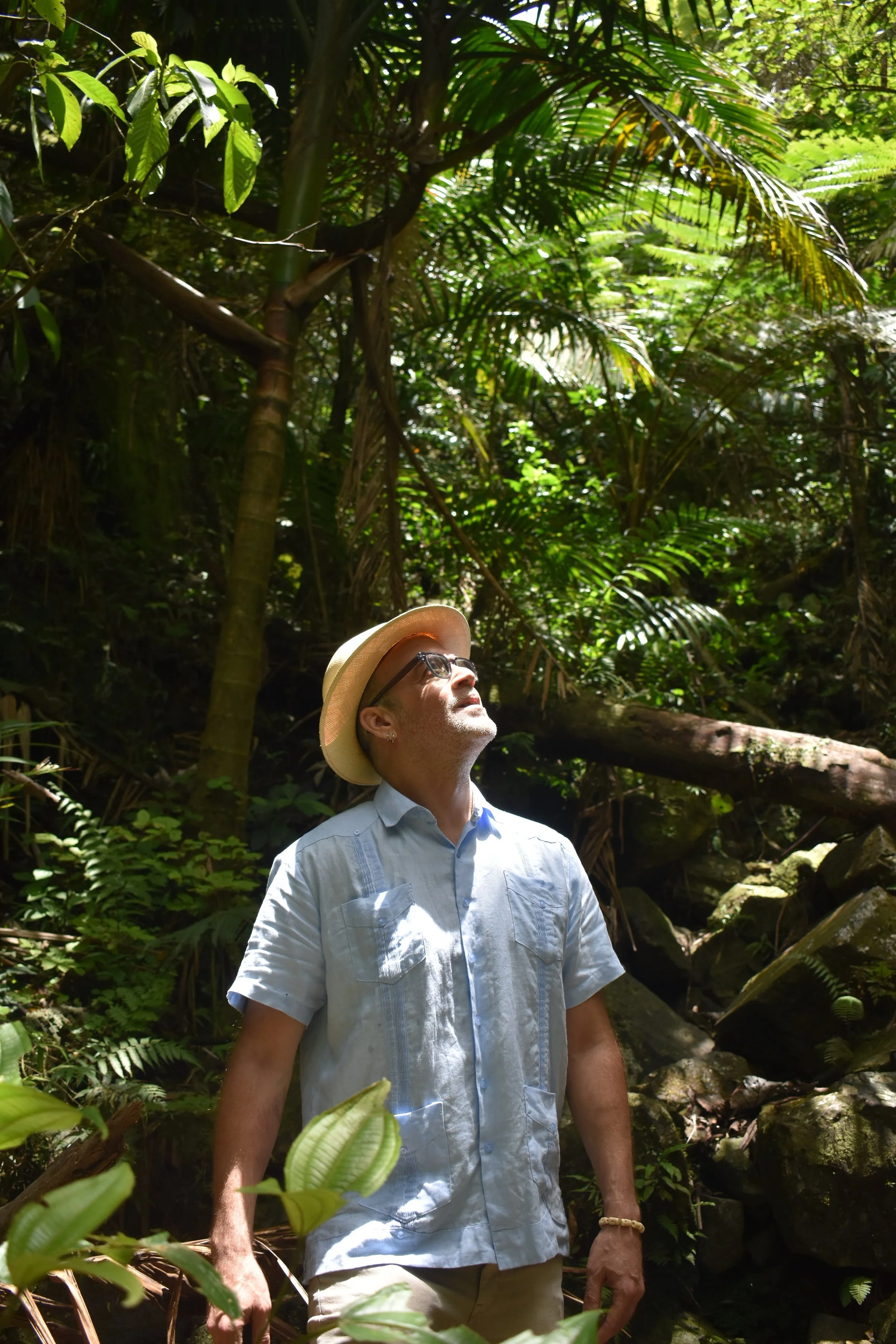 A man wearing a white short-sleeve shirt, beige pants, glasses, and a beige hat stands in a lush, green jungle surrounded by tall trees, ferns, and dense foliage, with sunlight filtering through the leaves.