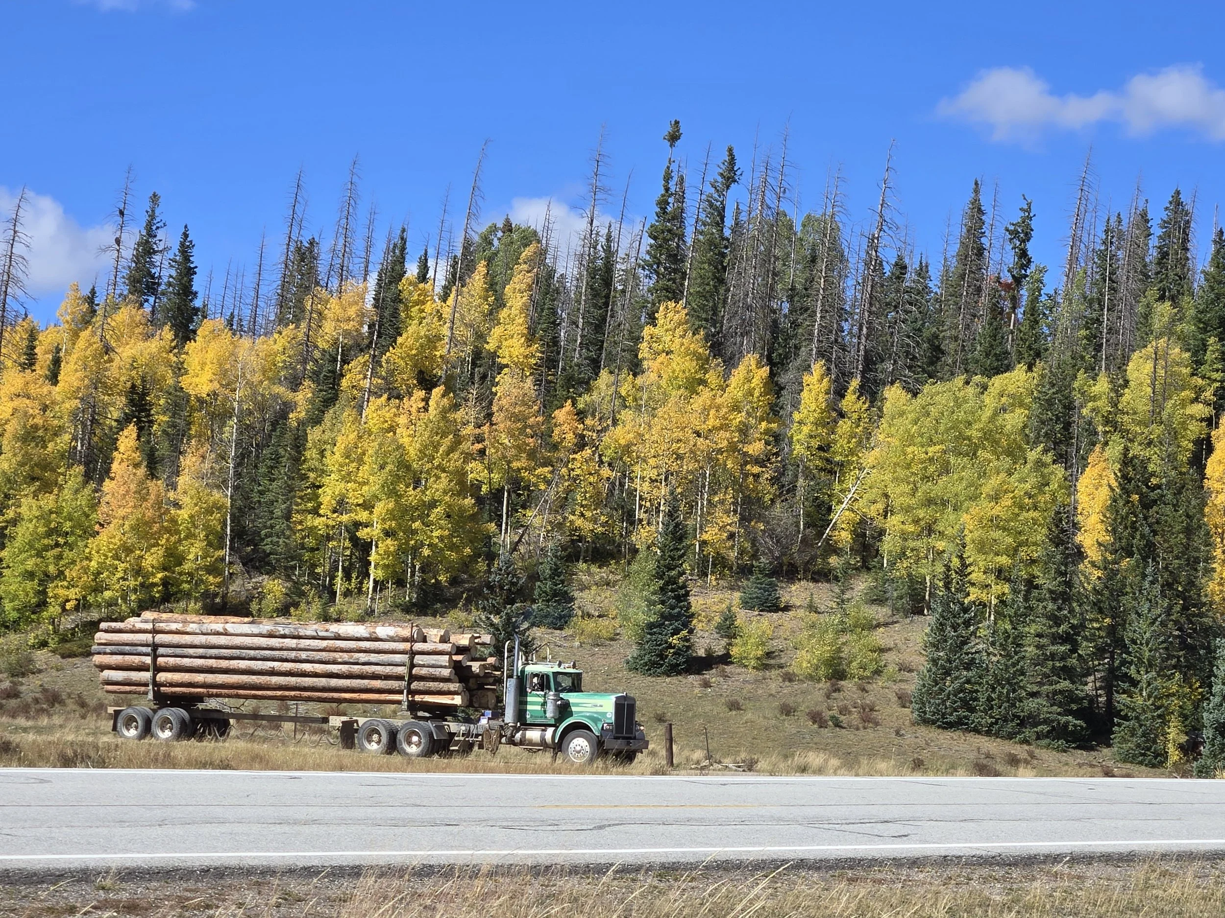 A semi-truck carrying logs driving along a rural road with a forested hillside in the background, featuring a mix of green and yellow foliage under a partly cloudy blue sky.