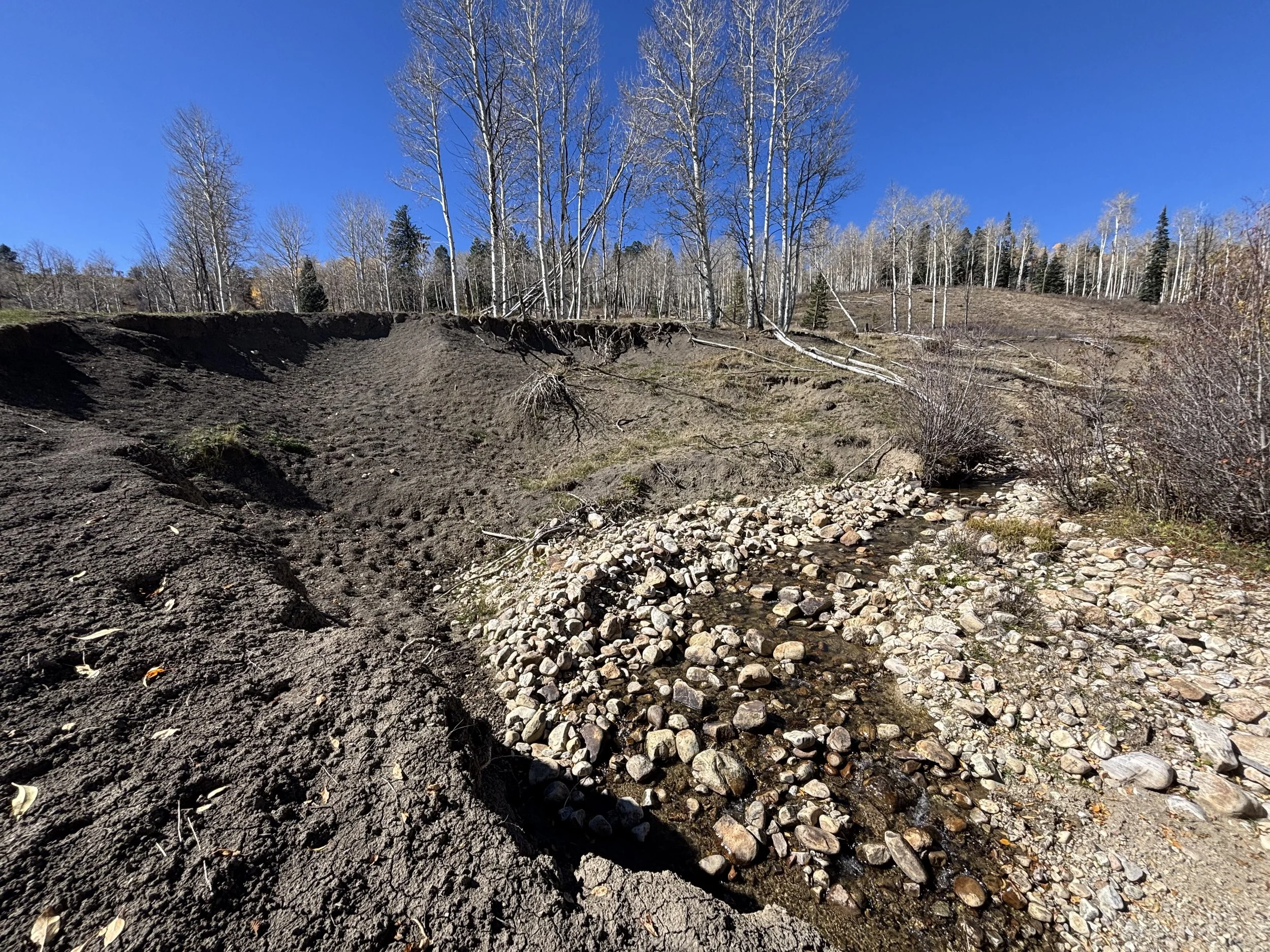 Watershed Planning: Community-Driven Projects That Scale