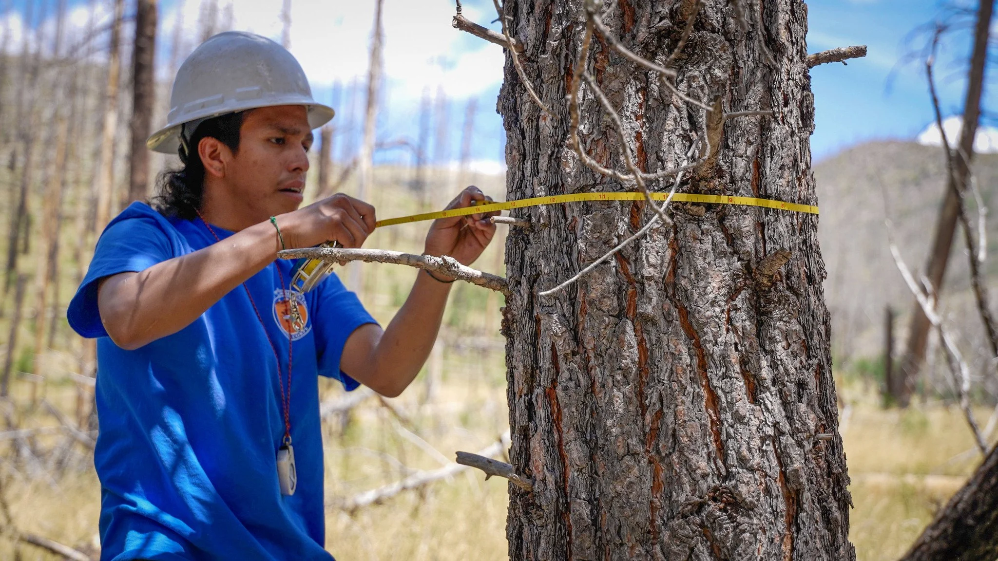 Building a Restoration Economy: Local Workers, Mills, and a Landscape That Gives Back