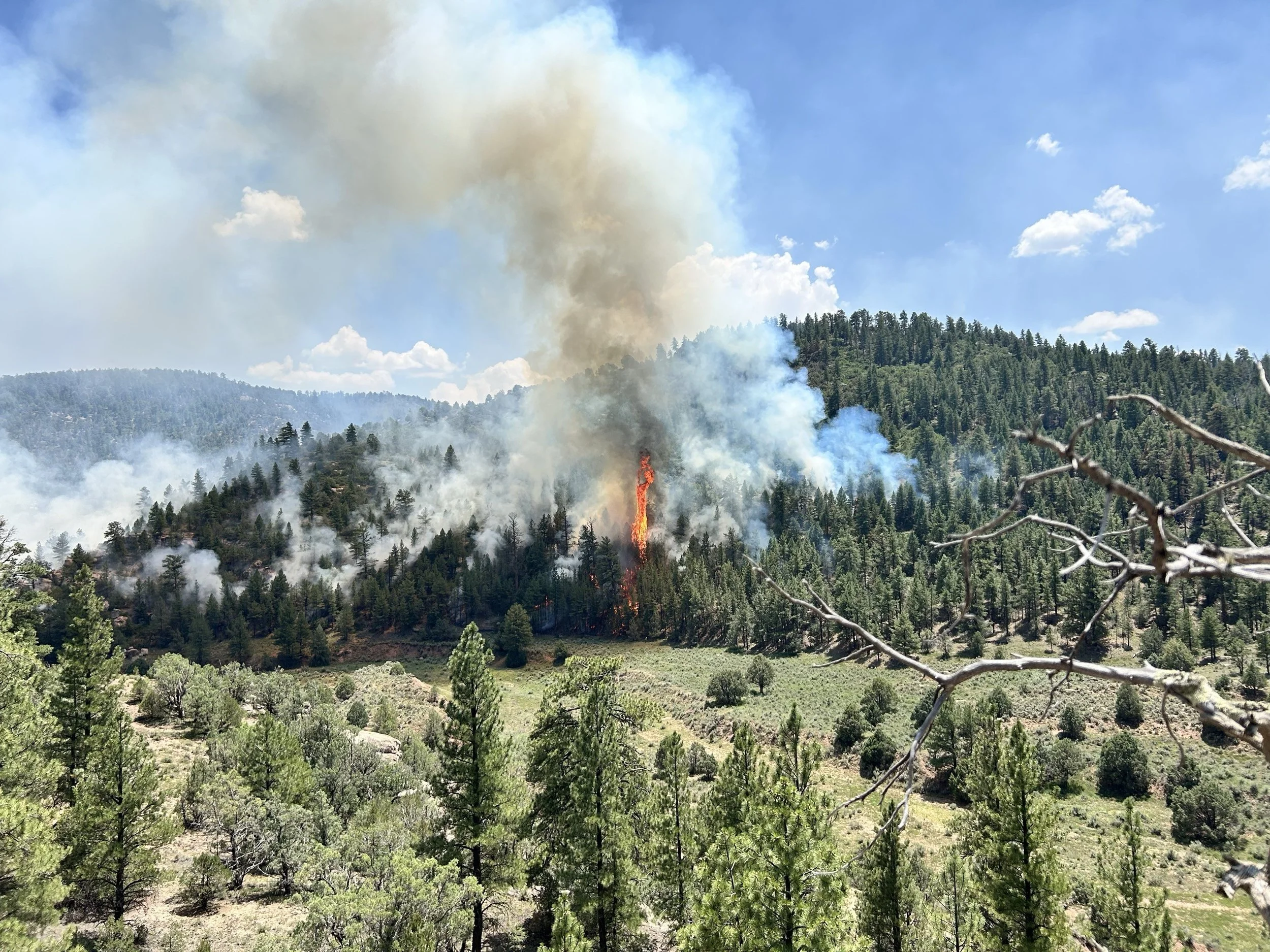 Reducing Wildfire Impacts: How the 2-3-2 is Helping Communities Coexist With Fire
