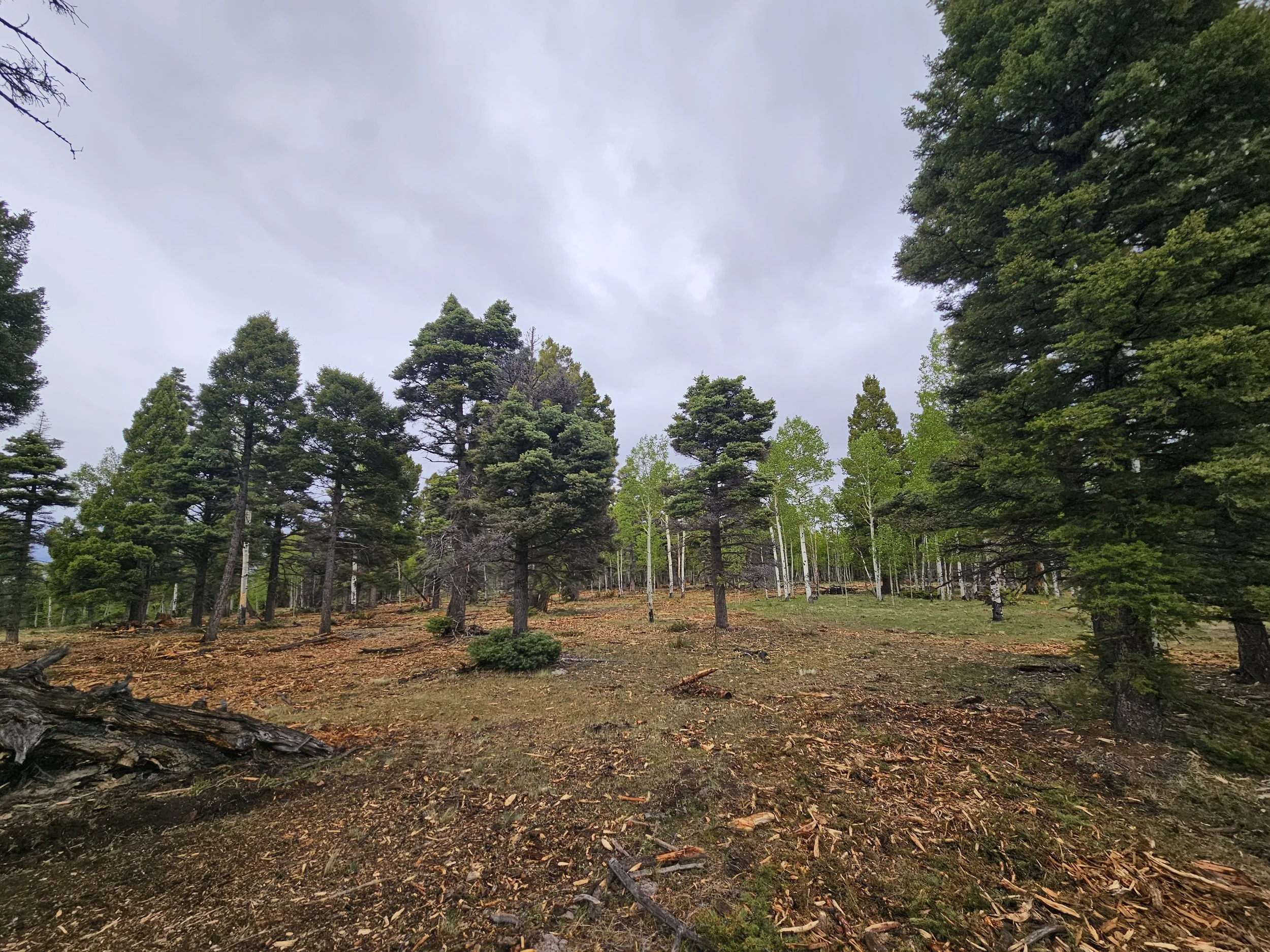 GNA_Photo3.jpg