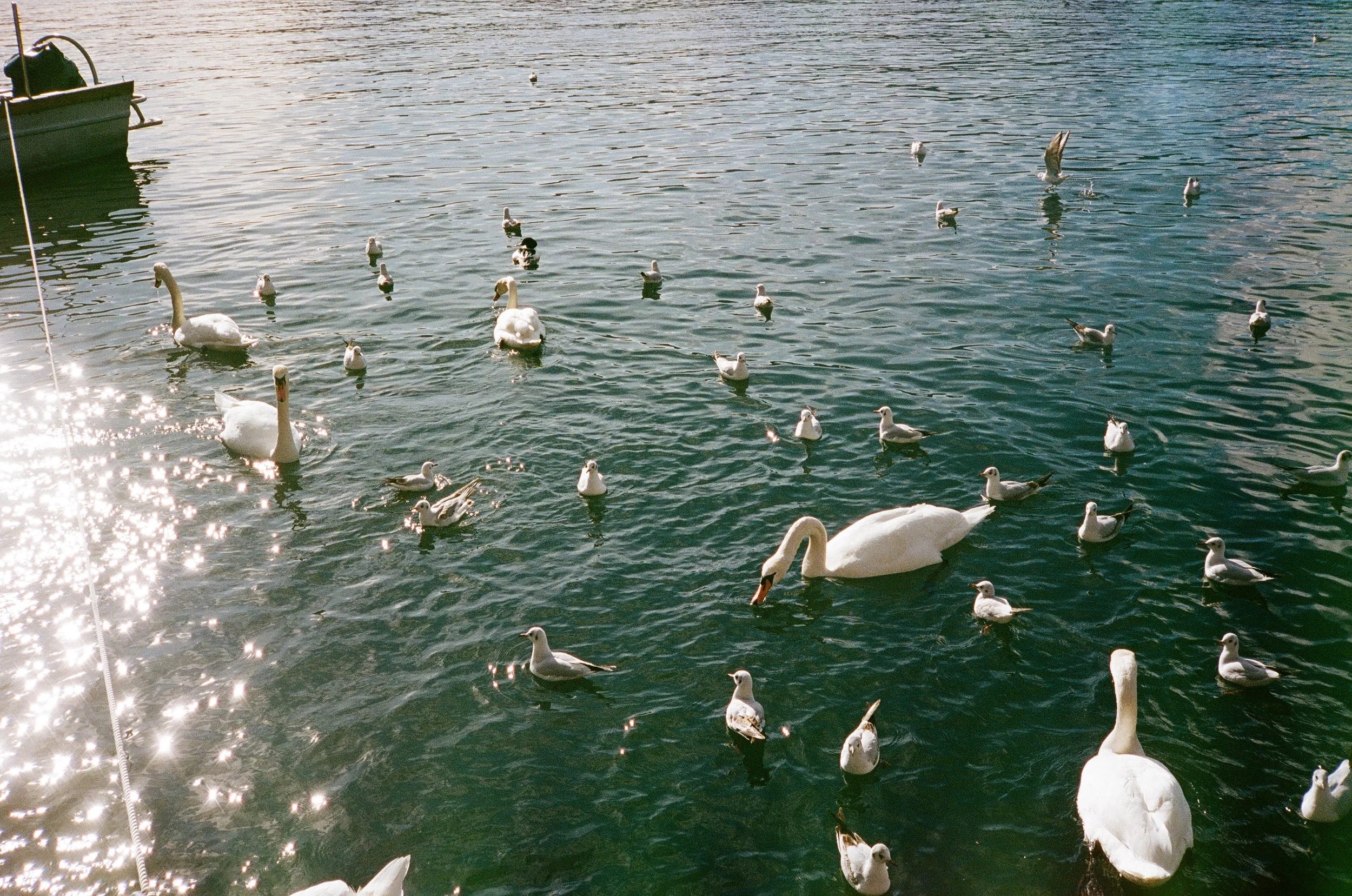 IMG_7738.JPG