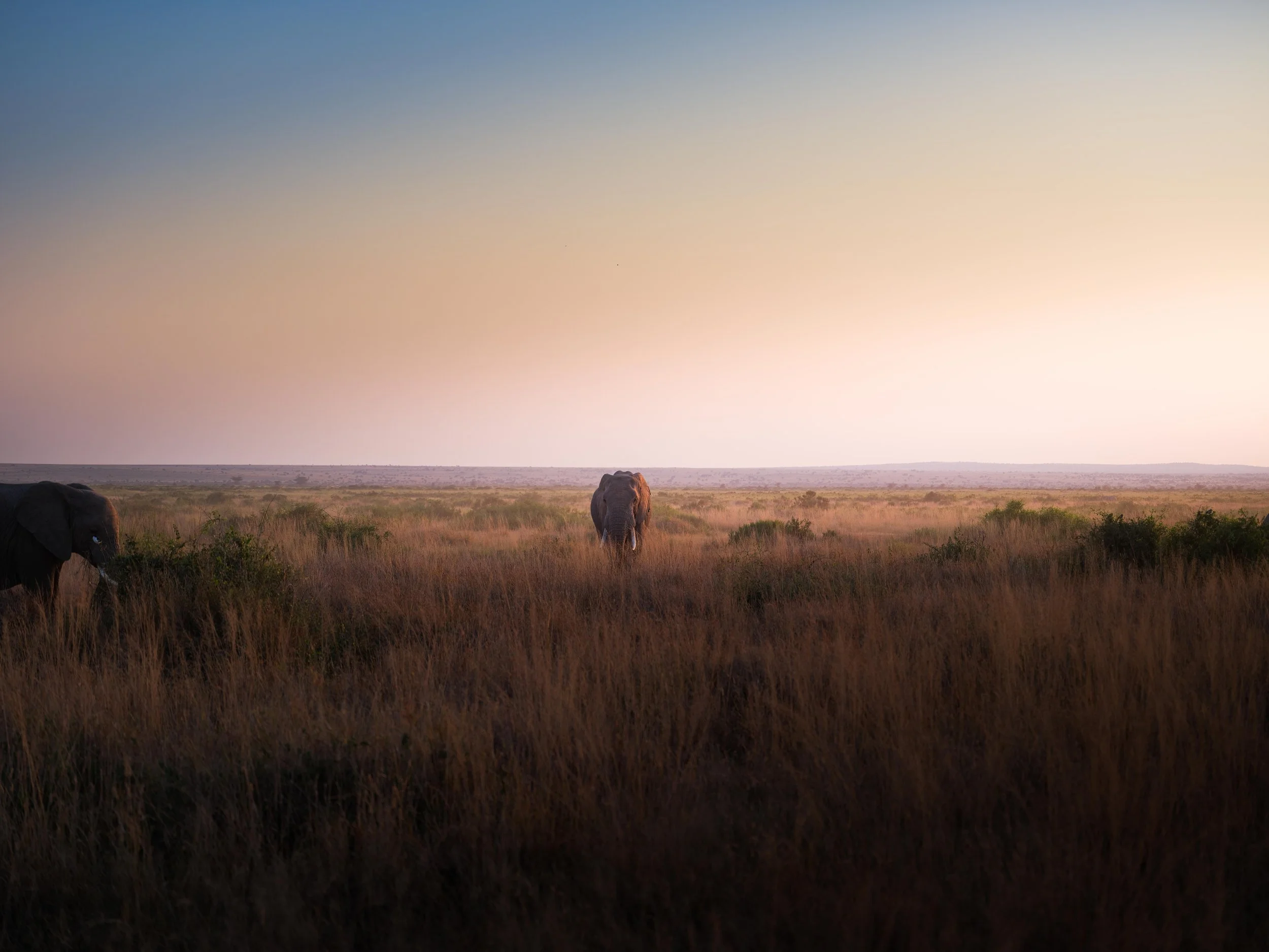 DSCF8623-2.jpg