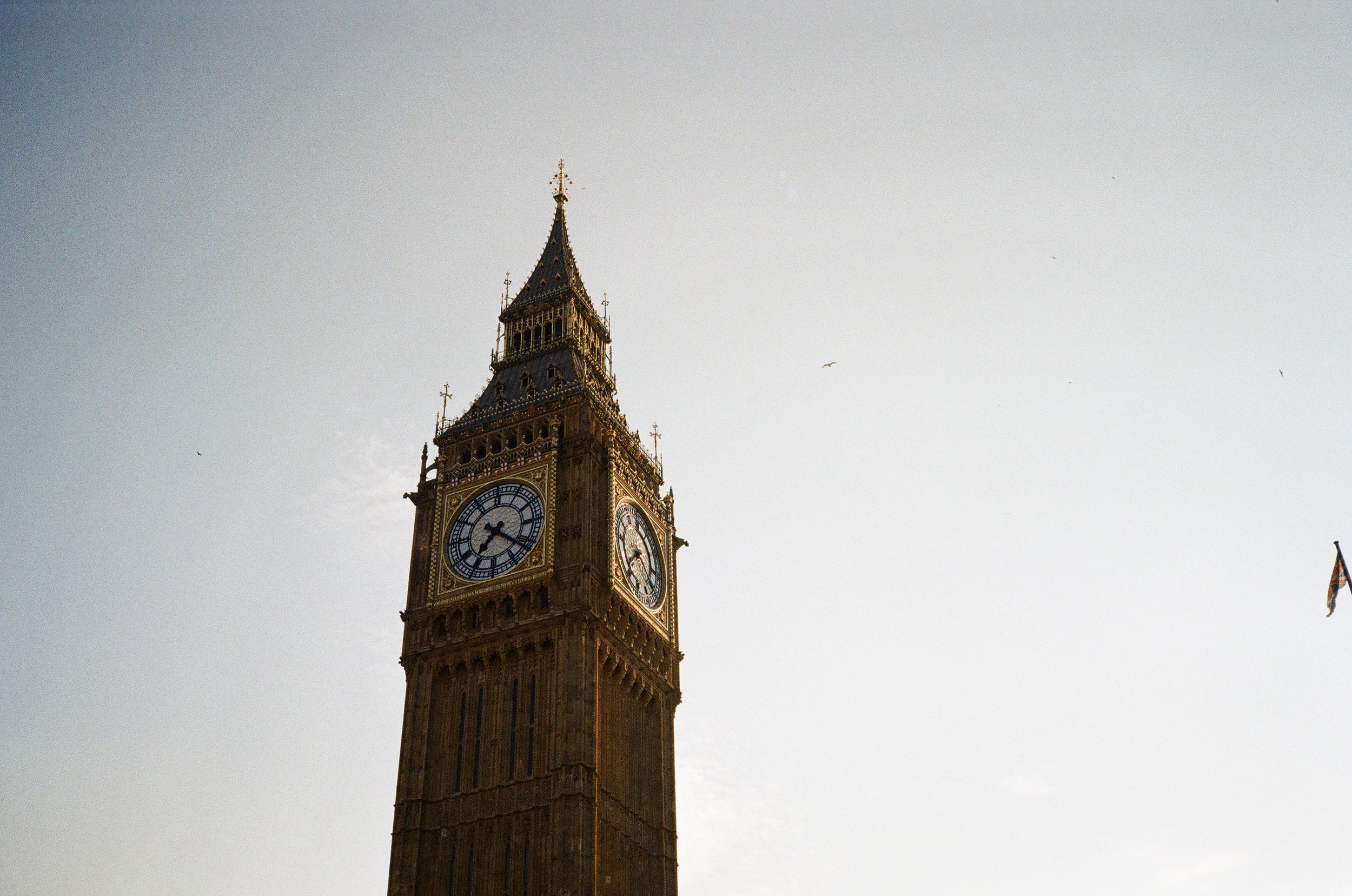 IMG_3976.JPG