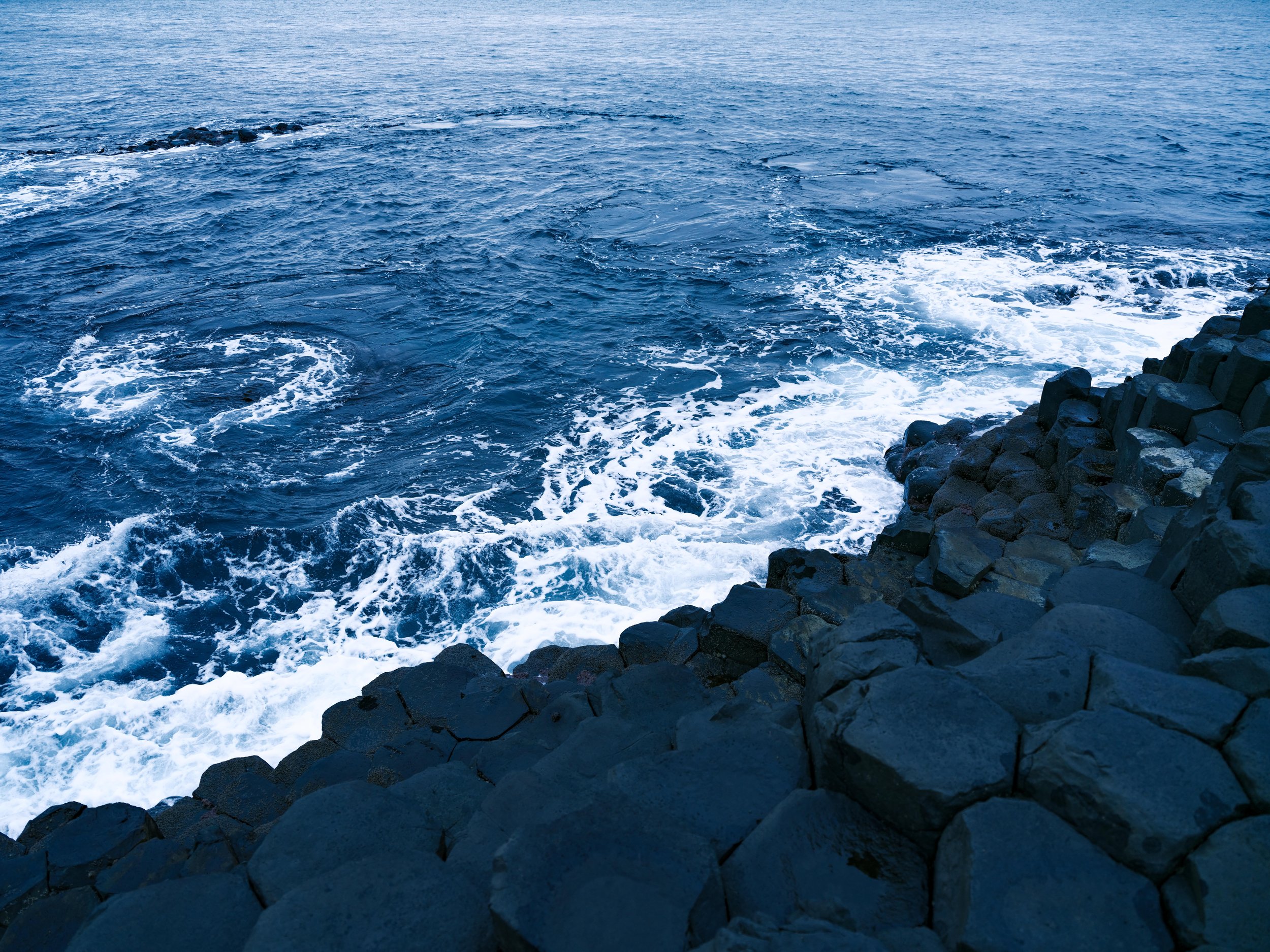 DSCF0512.jpg