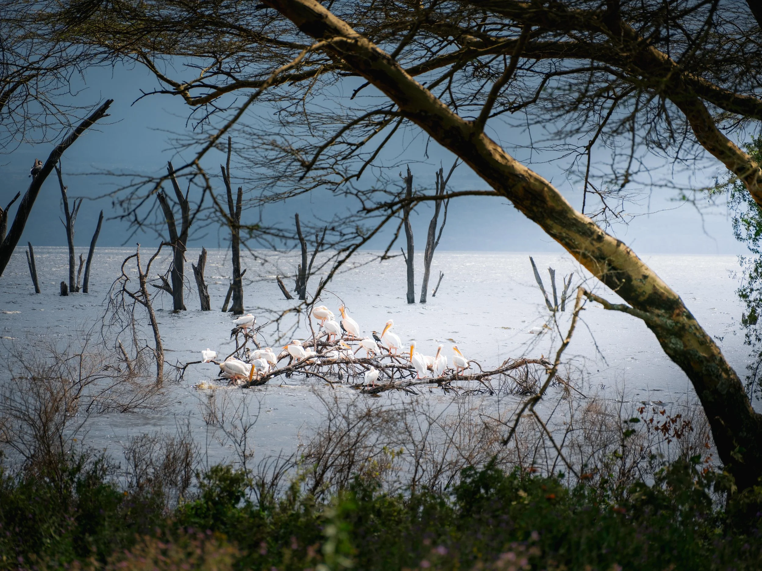 DSCF8061.jpg