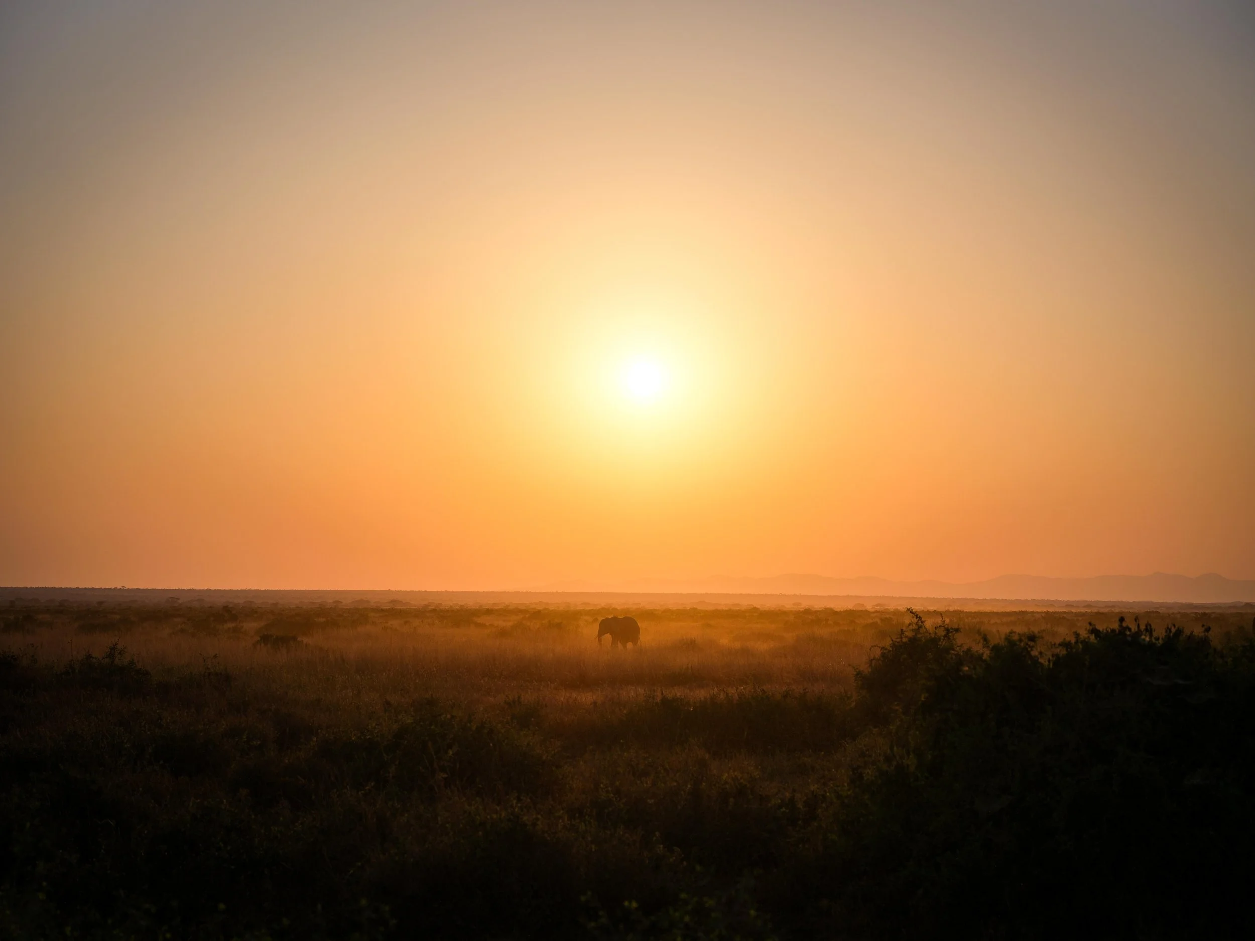 DSCF8631.jpg