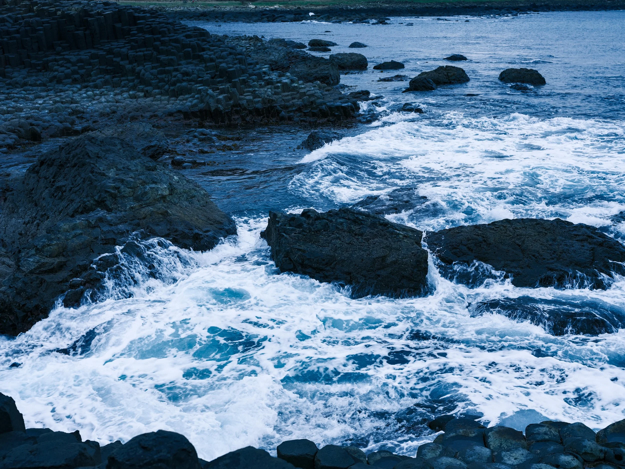 DSCF0510.jpg
