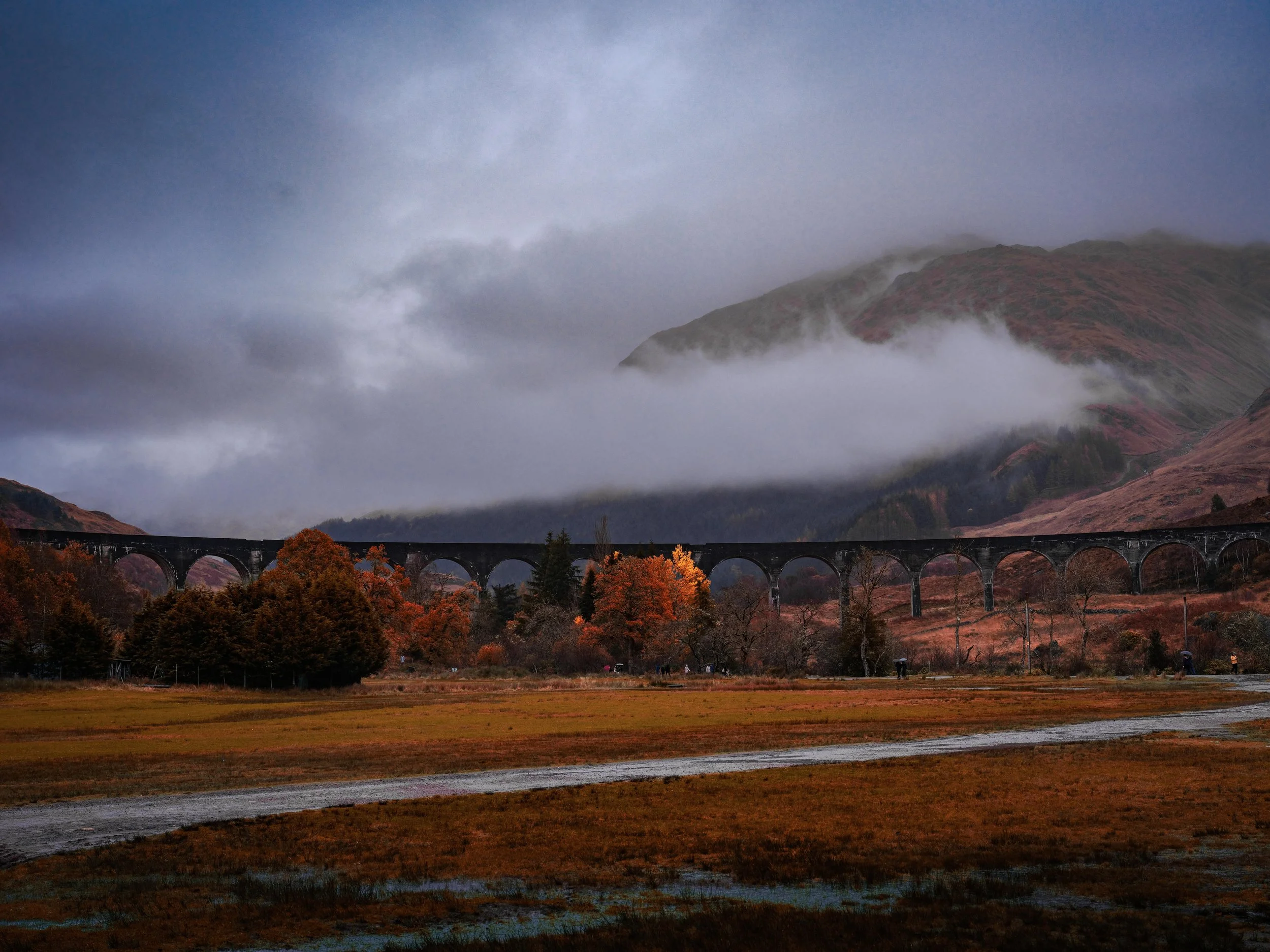 DSCF2378.jpg