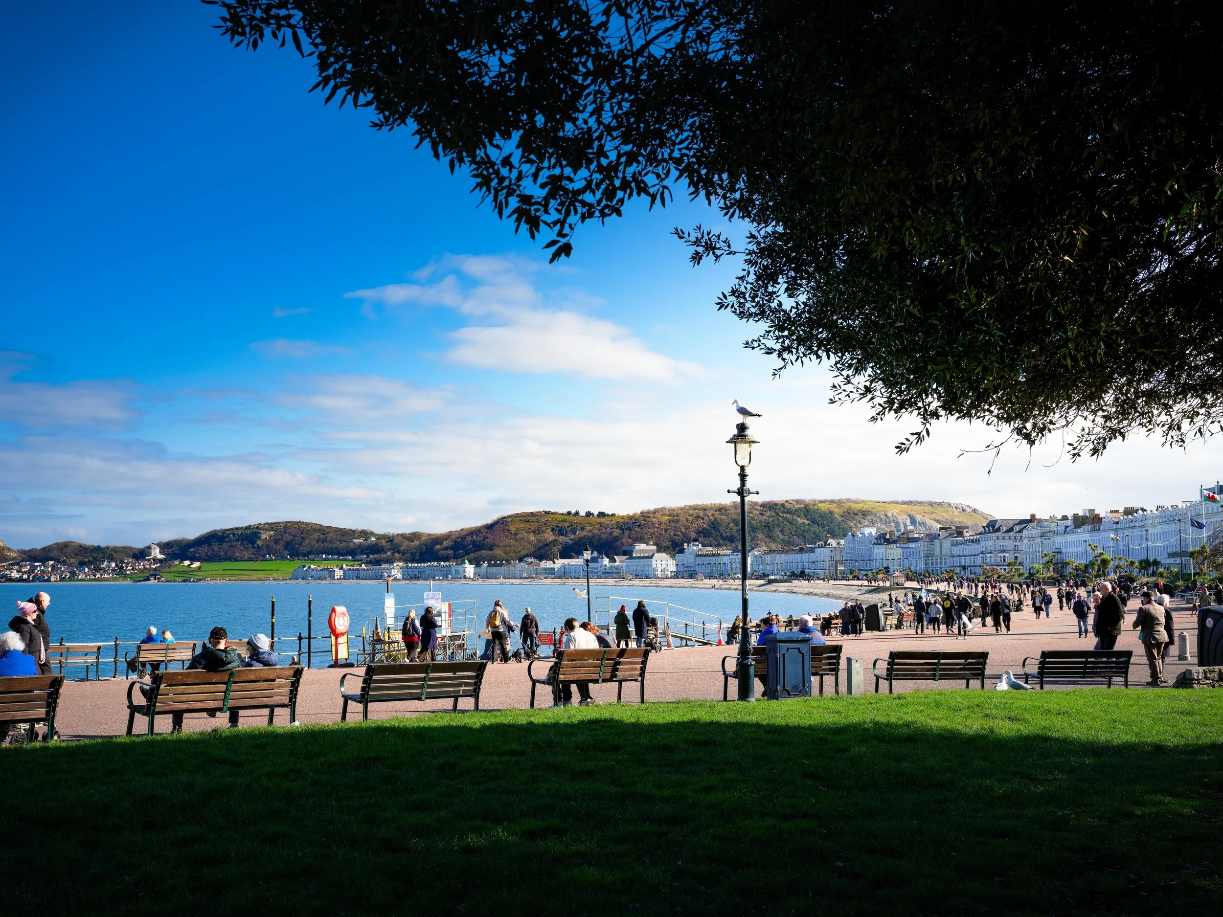 DSCF6091.jpg