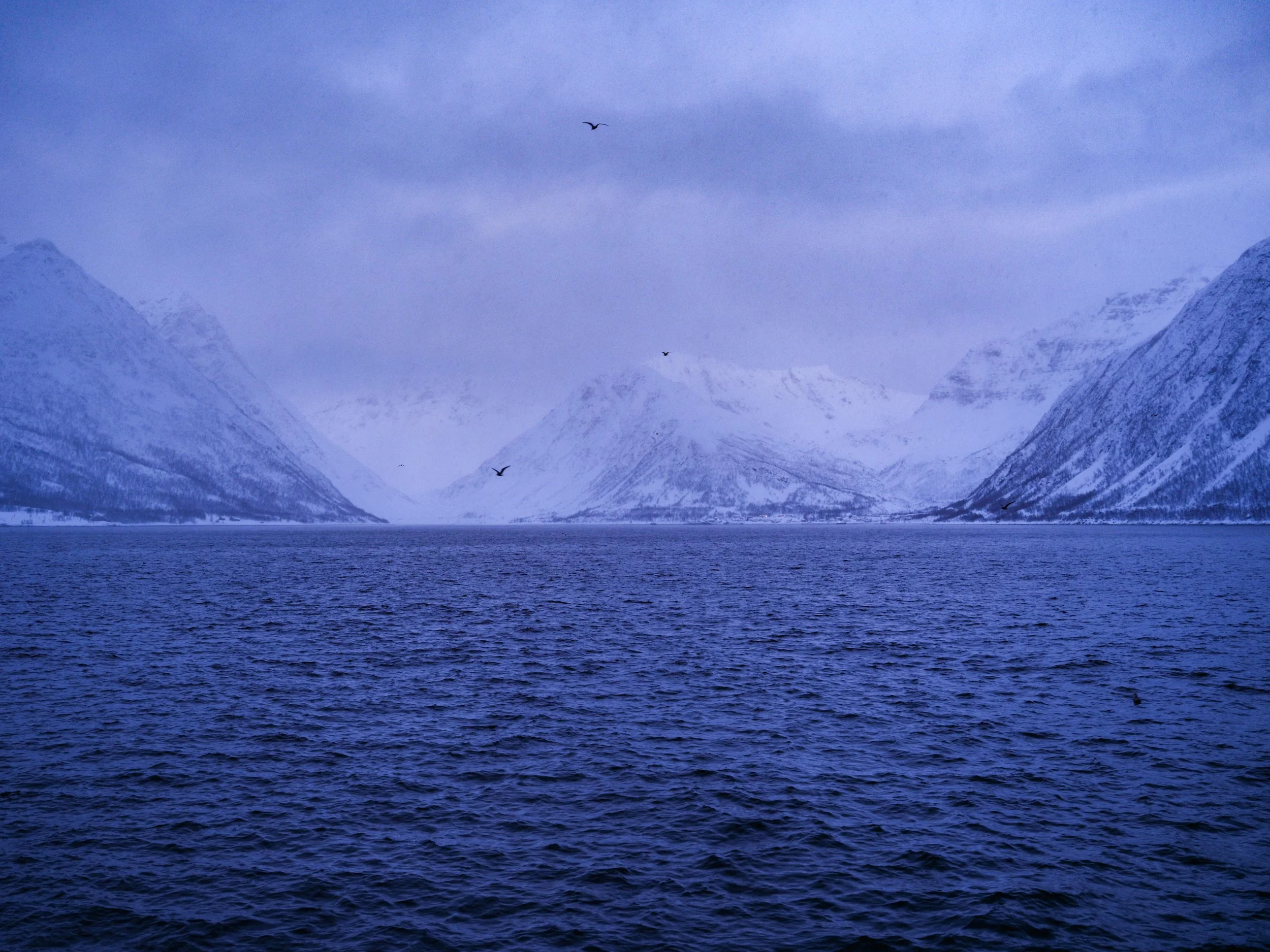 DSCF3674.jpg