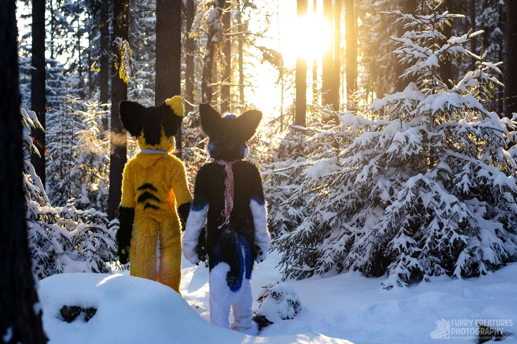 6N3A6529-Edit.jpg