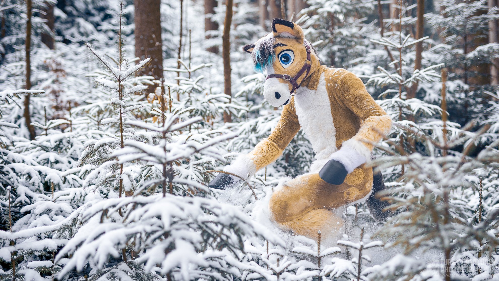 Snow