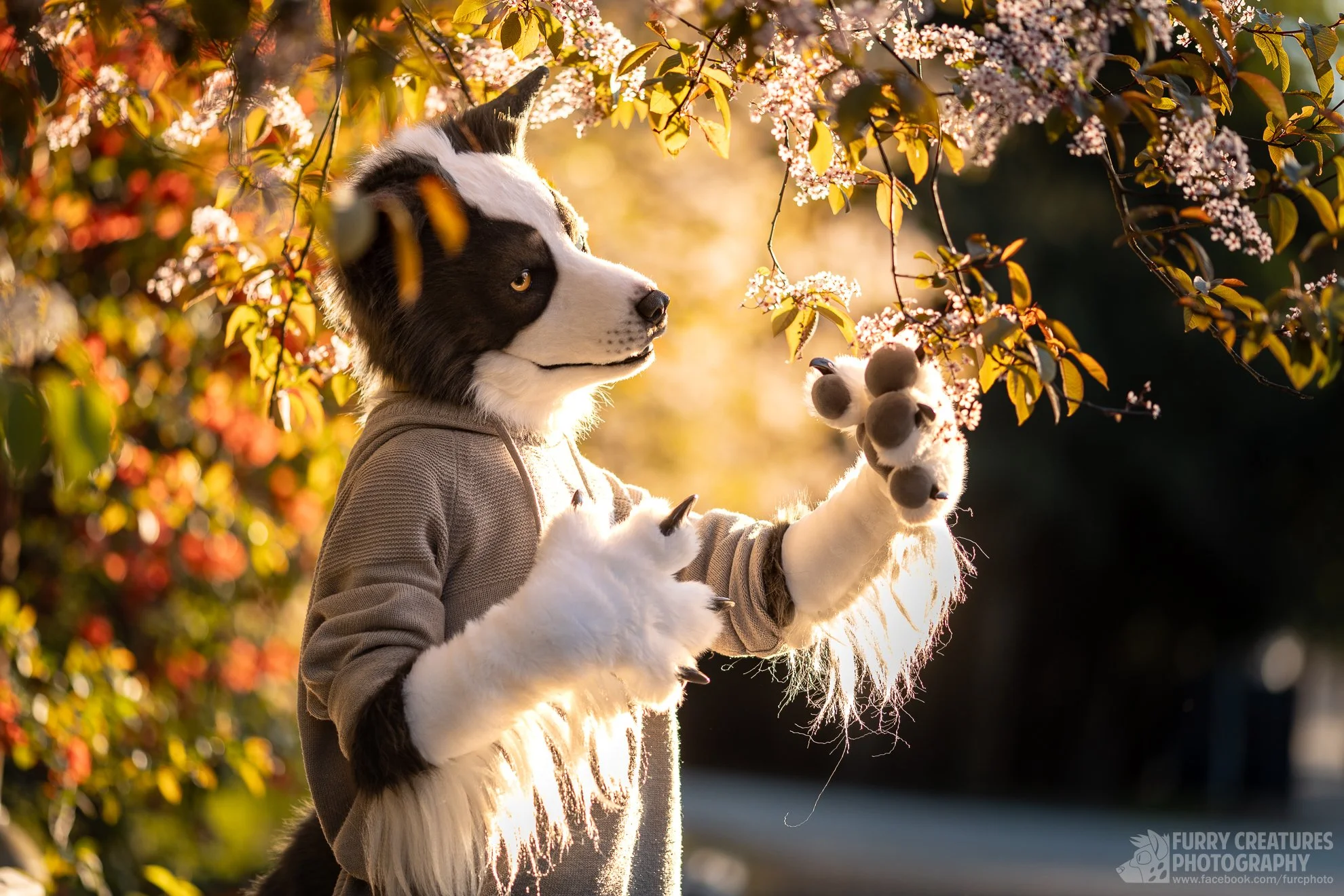 I love working in parks, woods, rocks and hills. We're anthro animals, let's roam the nature!