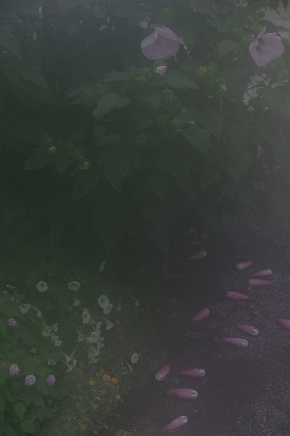 Screen+Shot+2022-07-26+at+8.13.44+PM.png