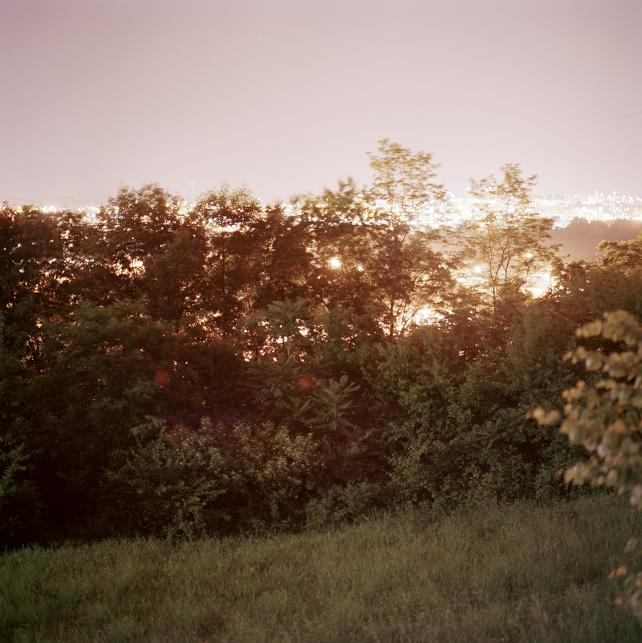 PageImage-506971-3638497-flowerbush_edit.png