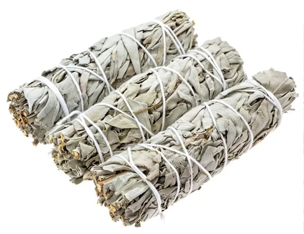 White-Sage.jpg