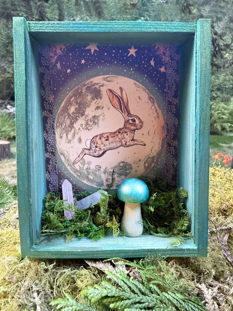 Vintage Astronomy Spirit Shadow Box Collection