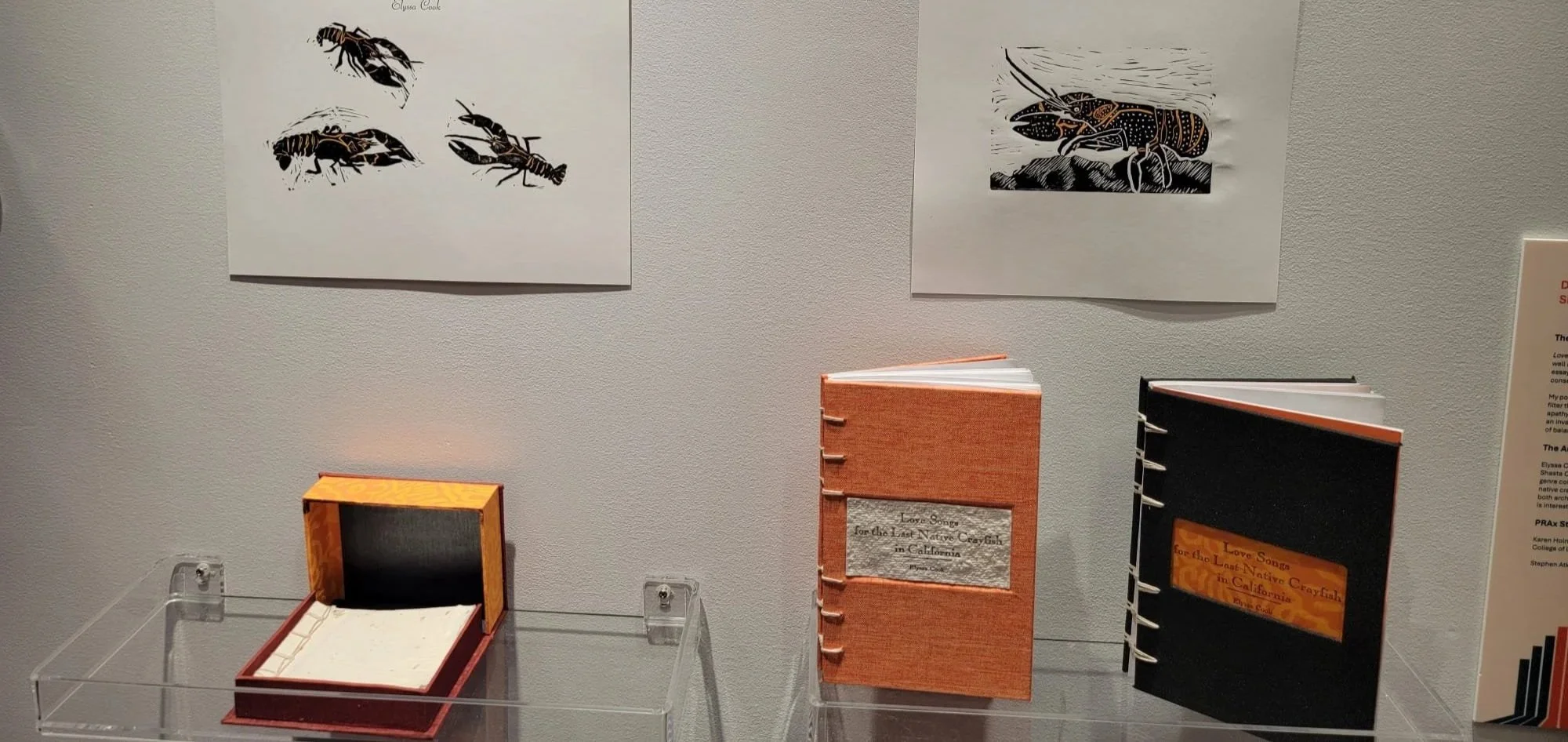 Display of several books and artwork on a gallery wall, including black and white linocuts of crayfish and a small booklet with orange and black covers.