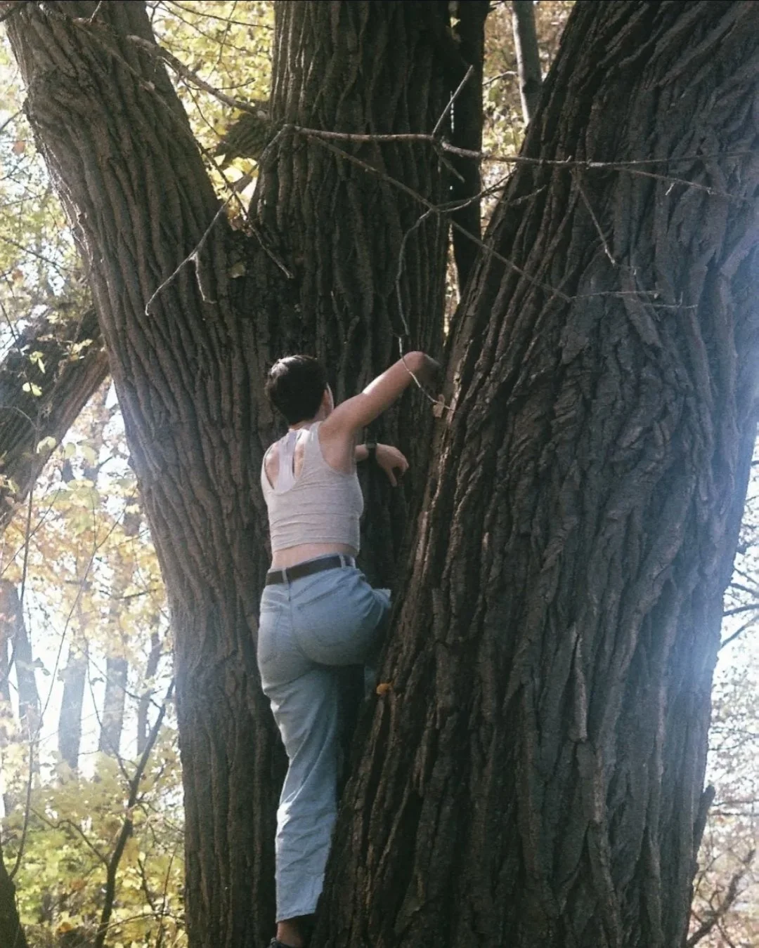 Elyssa facing away from the camera, climbing into a large tree