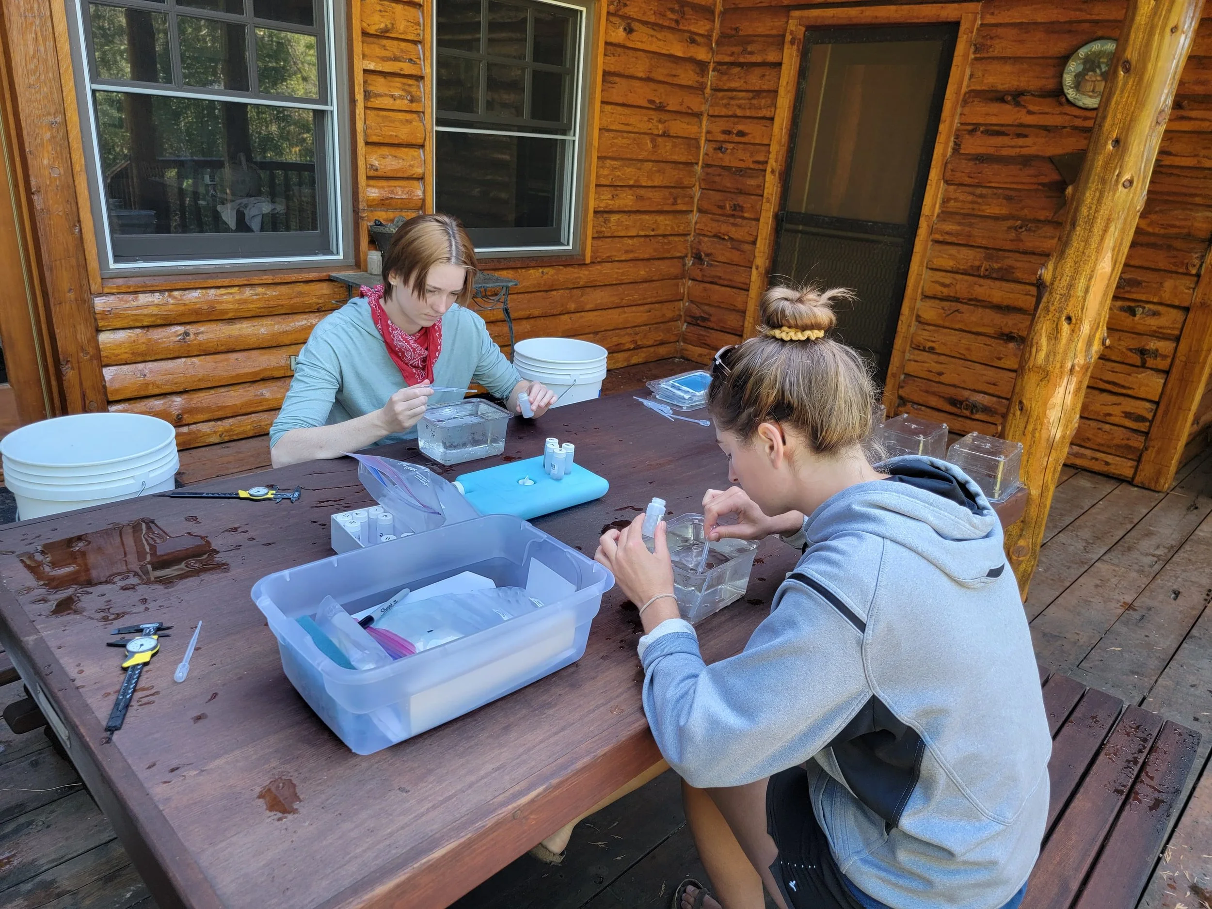 Two people, holding pipettes and sitting at a table