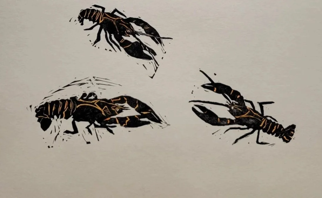 A linocut of three Shasta crayfish