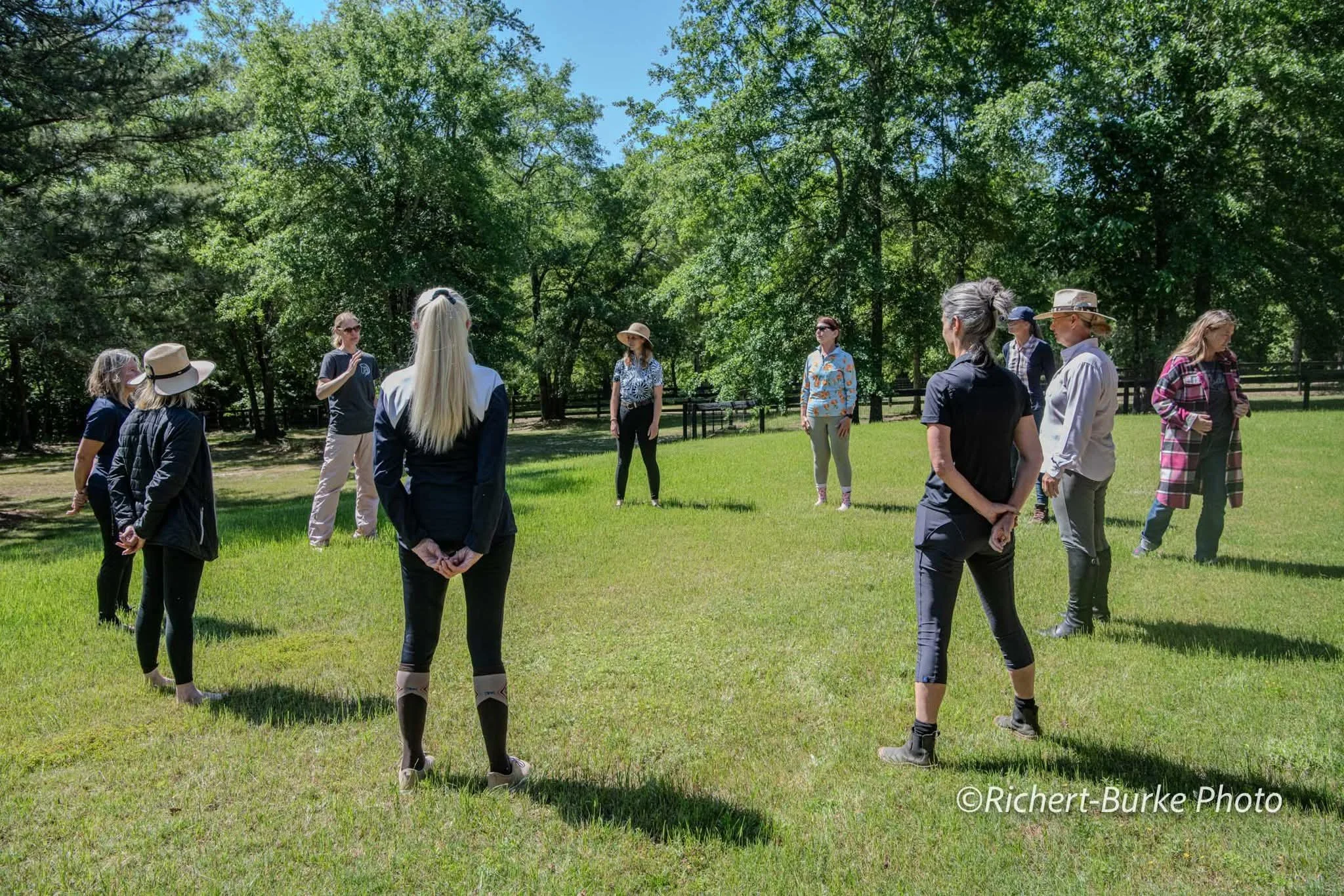 Virtual Qigong Group Class