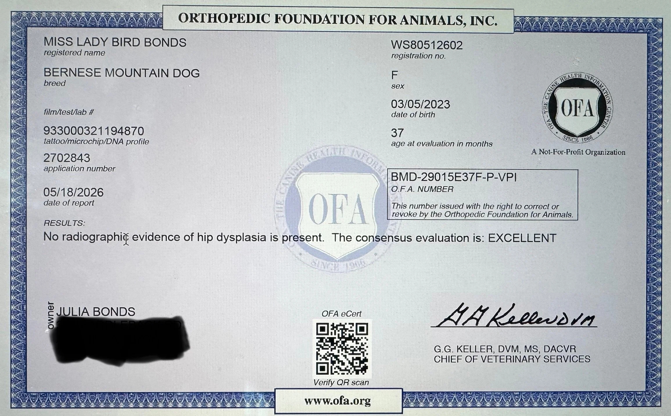 Veterinary certificate for a Bernese Mountain Dog titled 'Orthopedic Foundation for Animals, Inc.'. It includes details such as the dog's registered name 'Miss Lady Bird Bonds', breed, registration number, sex, date of birth, age, and test results indicating no radiographic evidence of hip dysplasia. The certificate is signed, contains a QR code, and official logos including the OFA seal.
