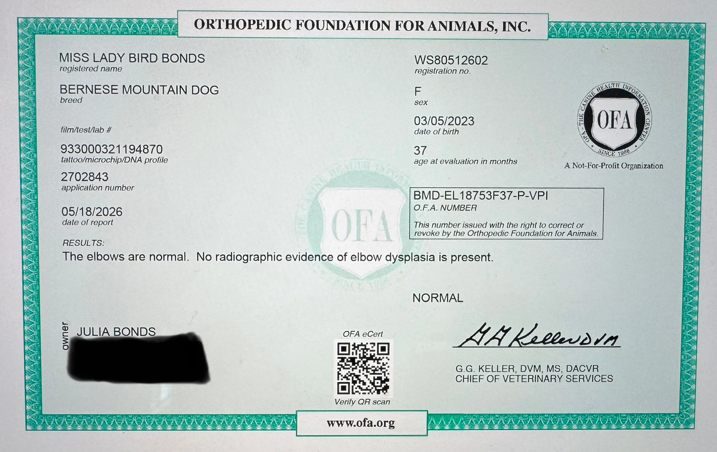 Veterinary medical report or certification for a Bernese Mountain Dog from the Orthopedic Foundation for Animals. Contains dog owner information, dog registration, test results indicating elbows are normal, and includes owner and veterinarian signatures.