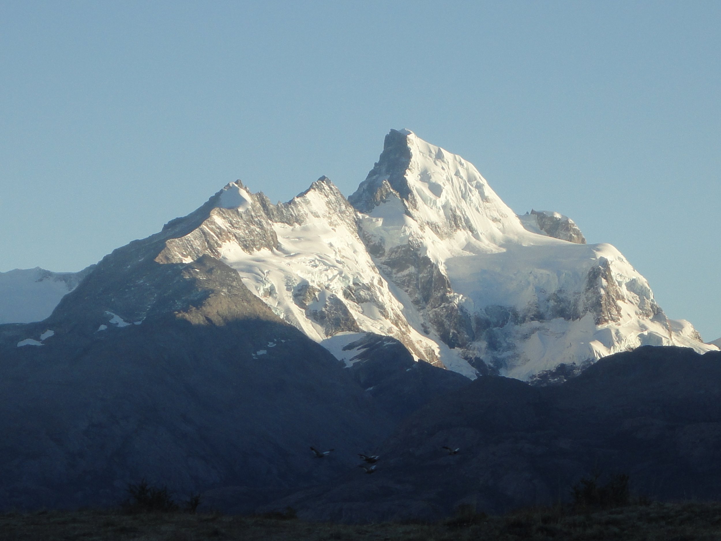 IMG_4452.JPG