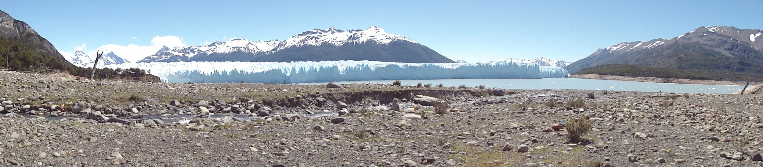 IMG_4459.JPG