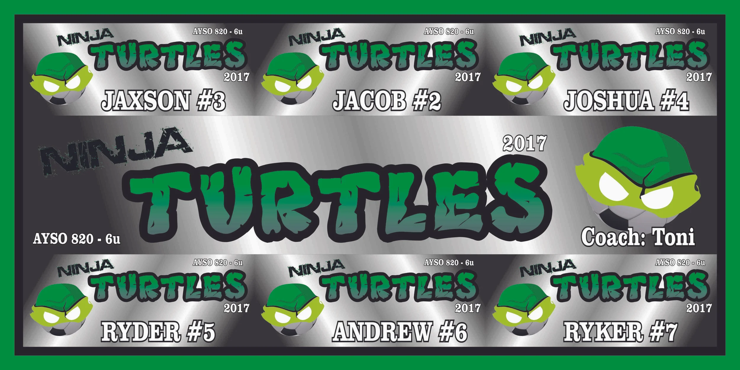 Style J Pennant Banner Ninja Turtles.jpg