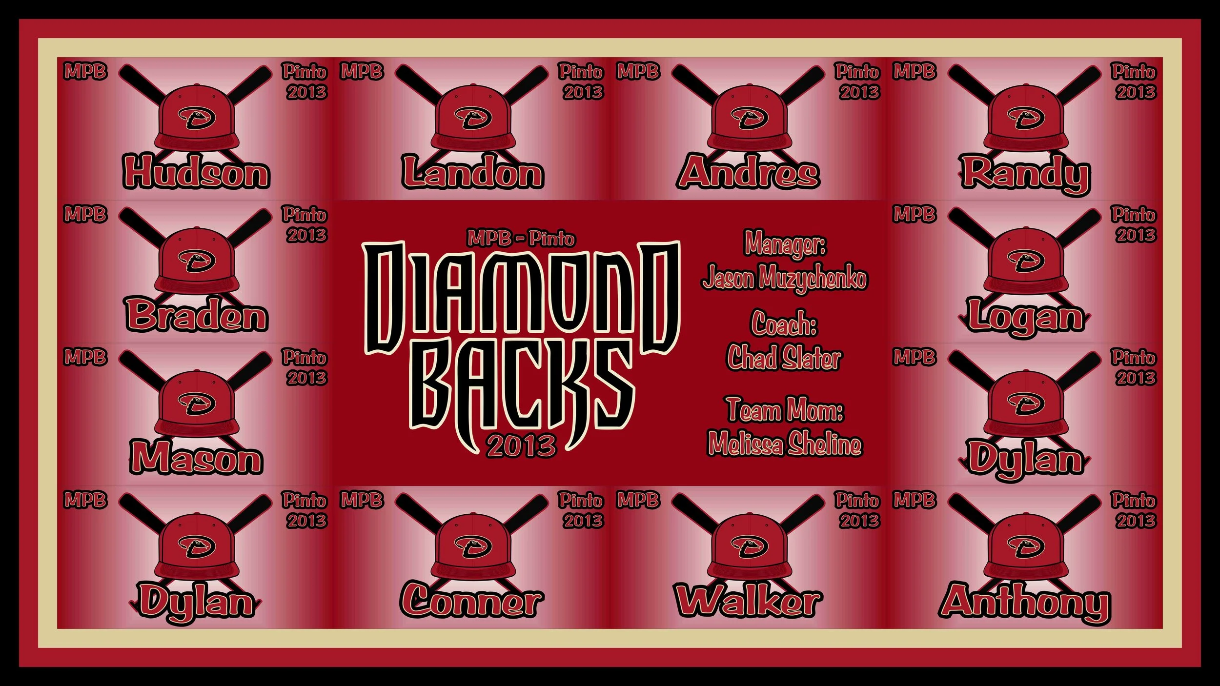 MPB Pinto Diamond Backs 2013 Style M smaller.jpg