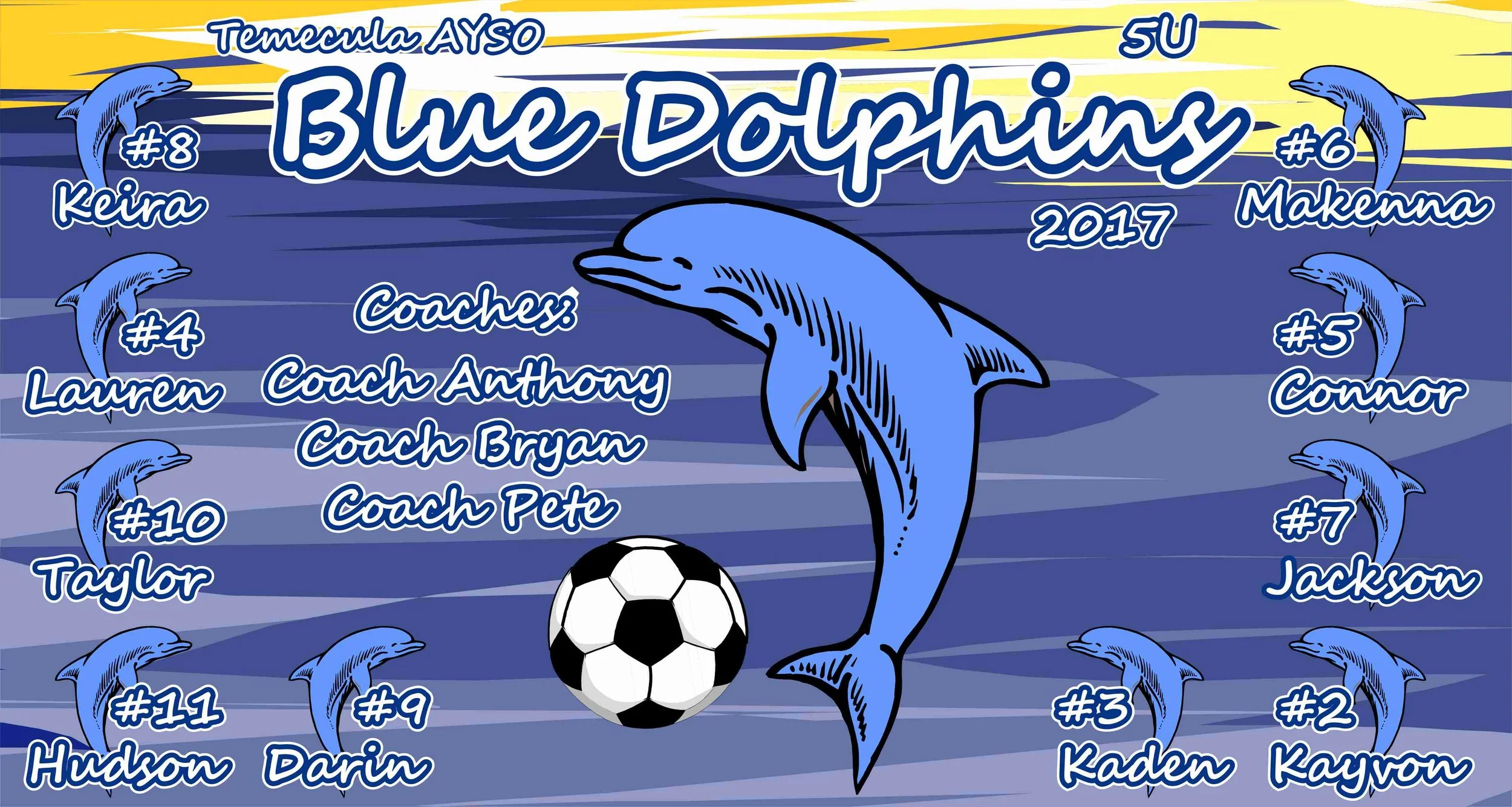 Style D Dolphins.jpg