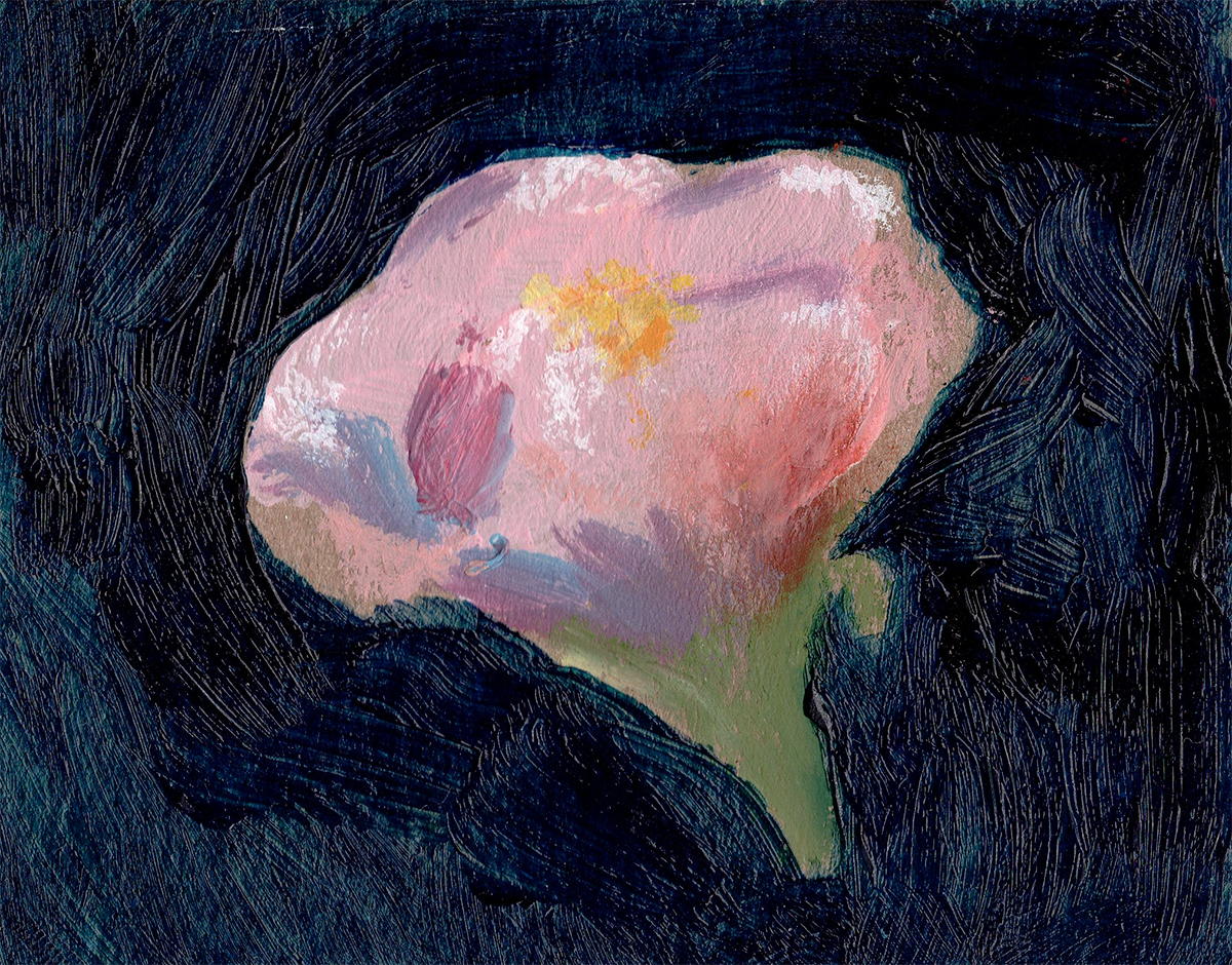 a photograph of an original floral painting, a contemporary abstract of a pink flower on dark blue background