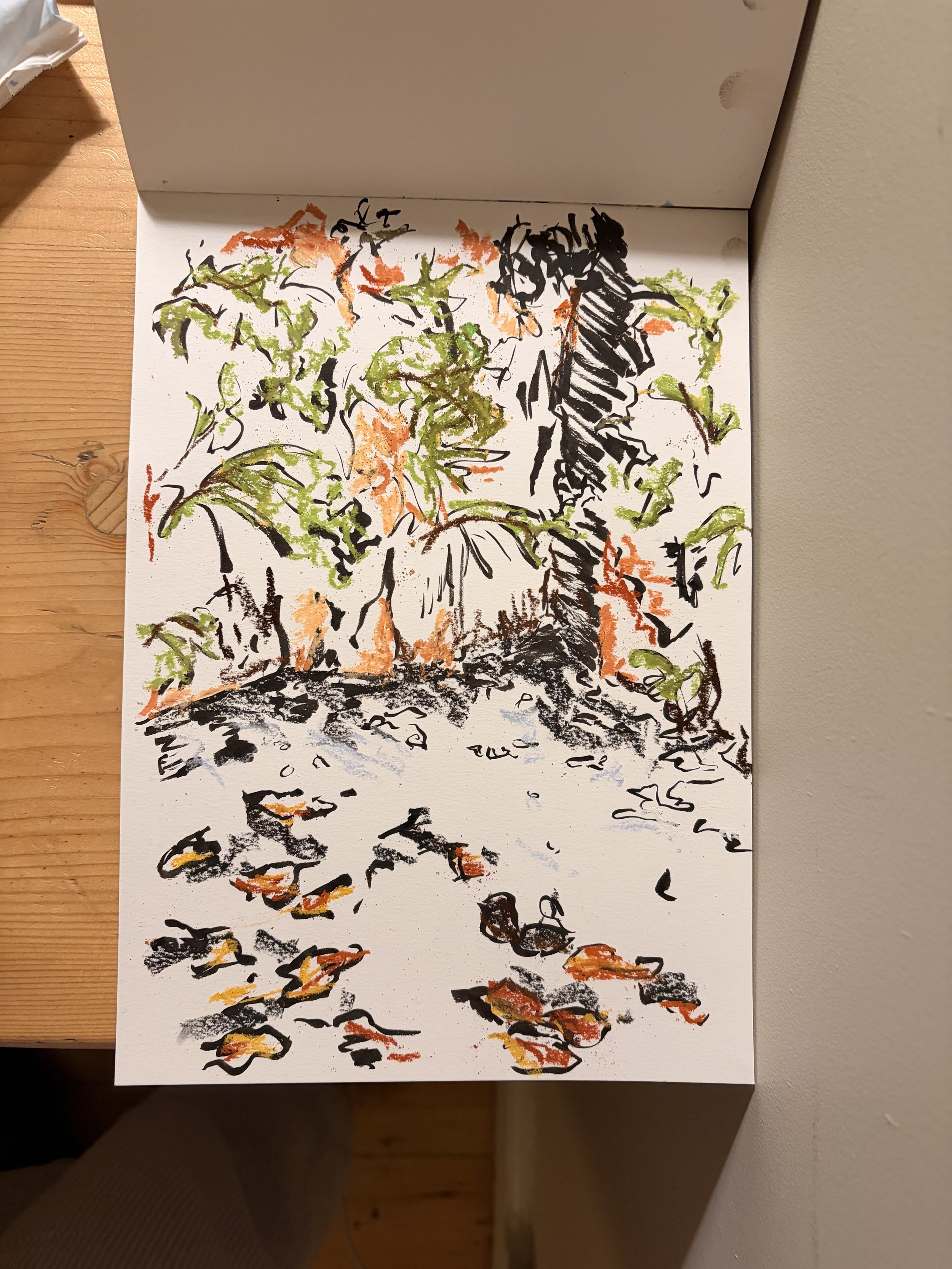 an ink and pastel drawing study of a watercolour
