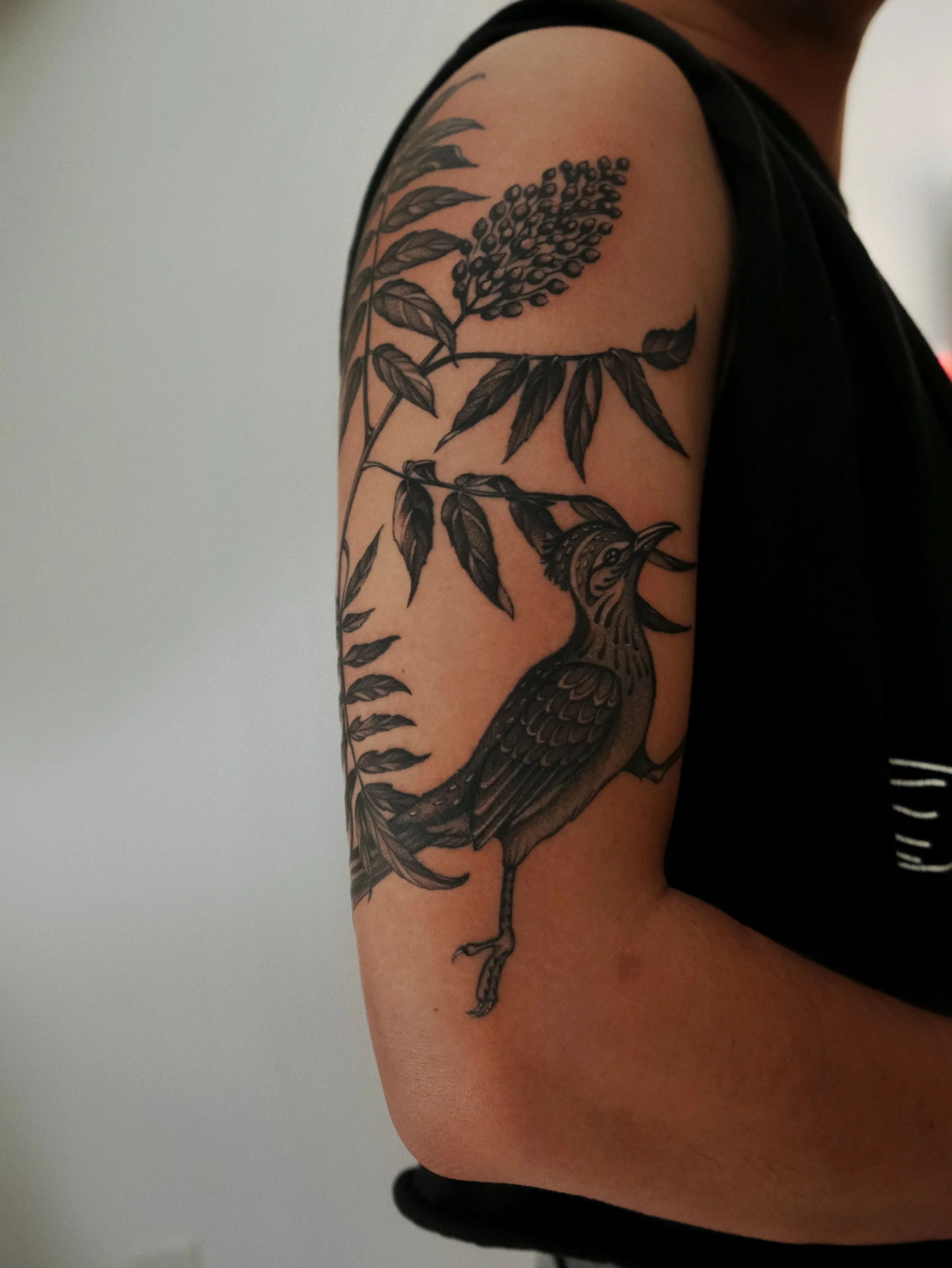 upper arm blackwork tattoo of roadrunner and foliage