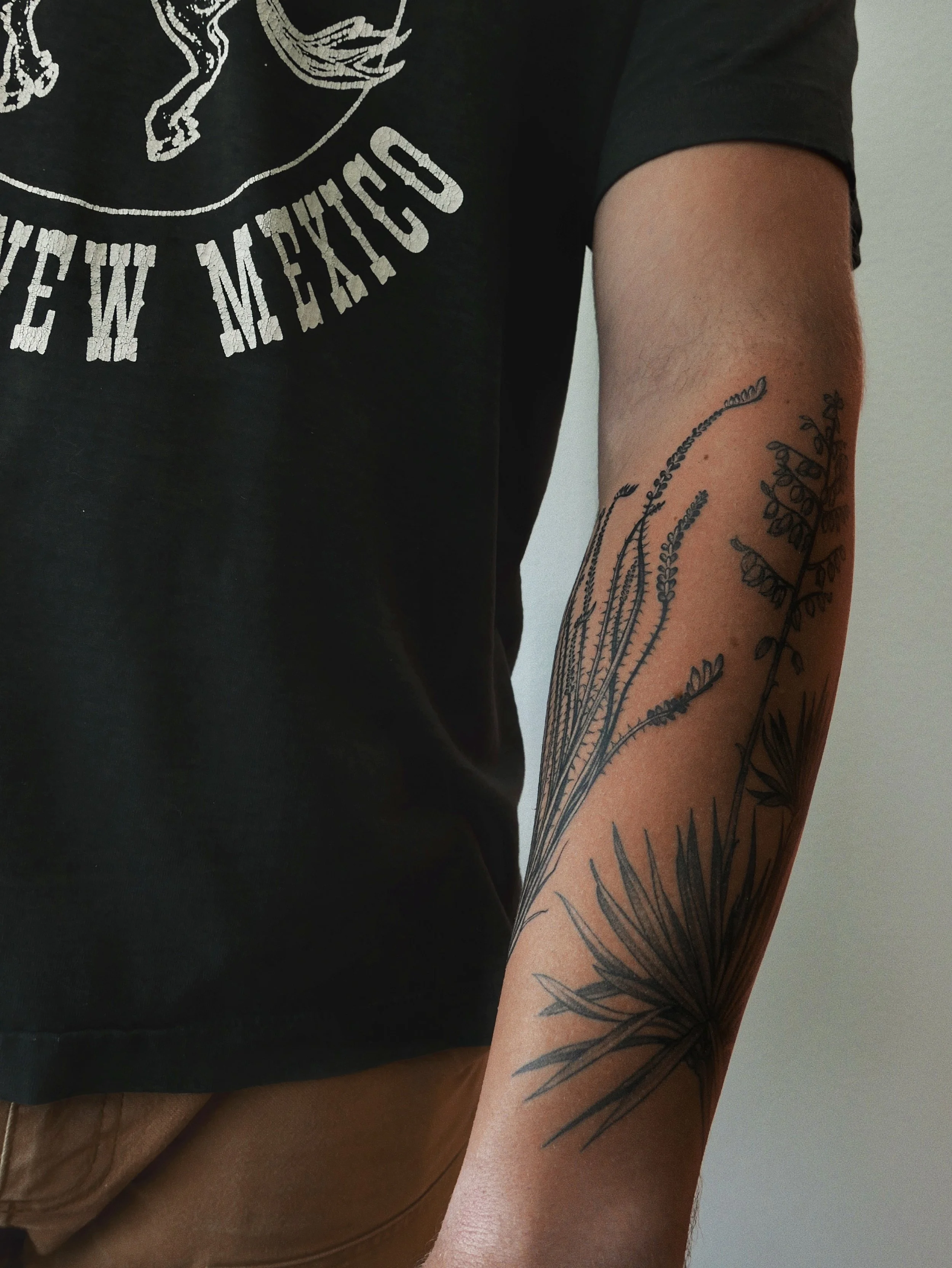 blackwork desert botanical forearm tattoos featuring ocotillo and yucca