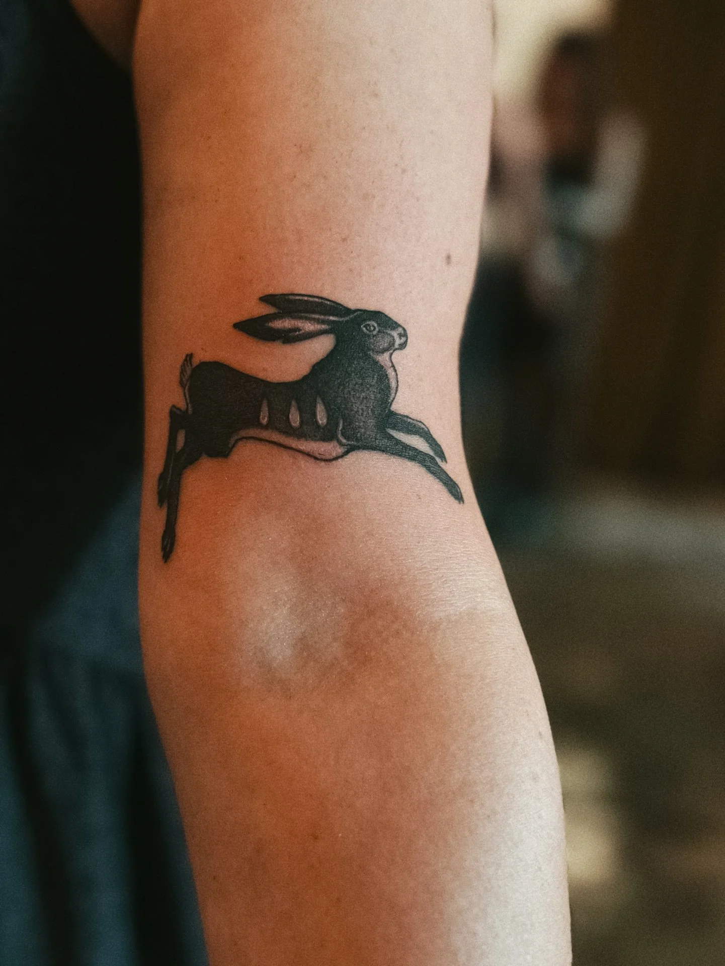 southwest folk blackwork jackrabbit flash tattoo
