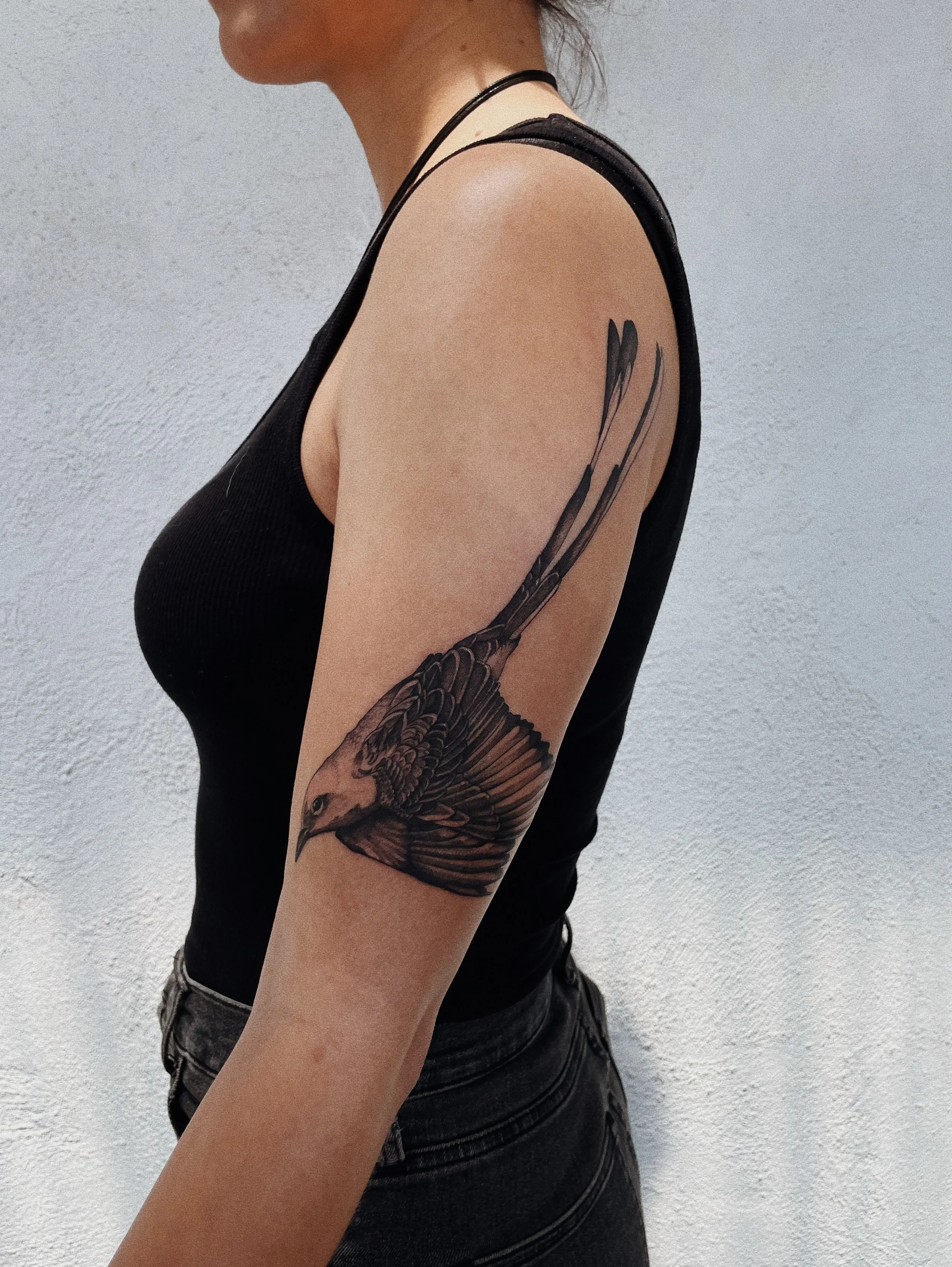 blackwork texas bird tattoo contouring upper arm